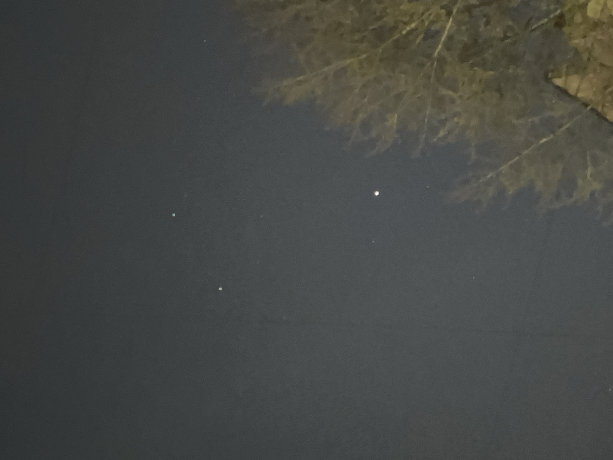 The image appears to be a night shot, possibly in Saint Petersburg, Russia given the presence of what might be a building and some bare tree branches in the upper right corner, possibly a park. The main feature is a dark, somewhat grainy, expanse of what appears to be sky. Scattered across this dark background are three small, bright points of light that are likely stars. The overall scene is dark and suggests a quiet, possibly residential, location at night. The angle is looking upwards.