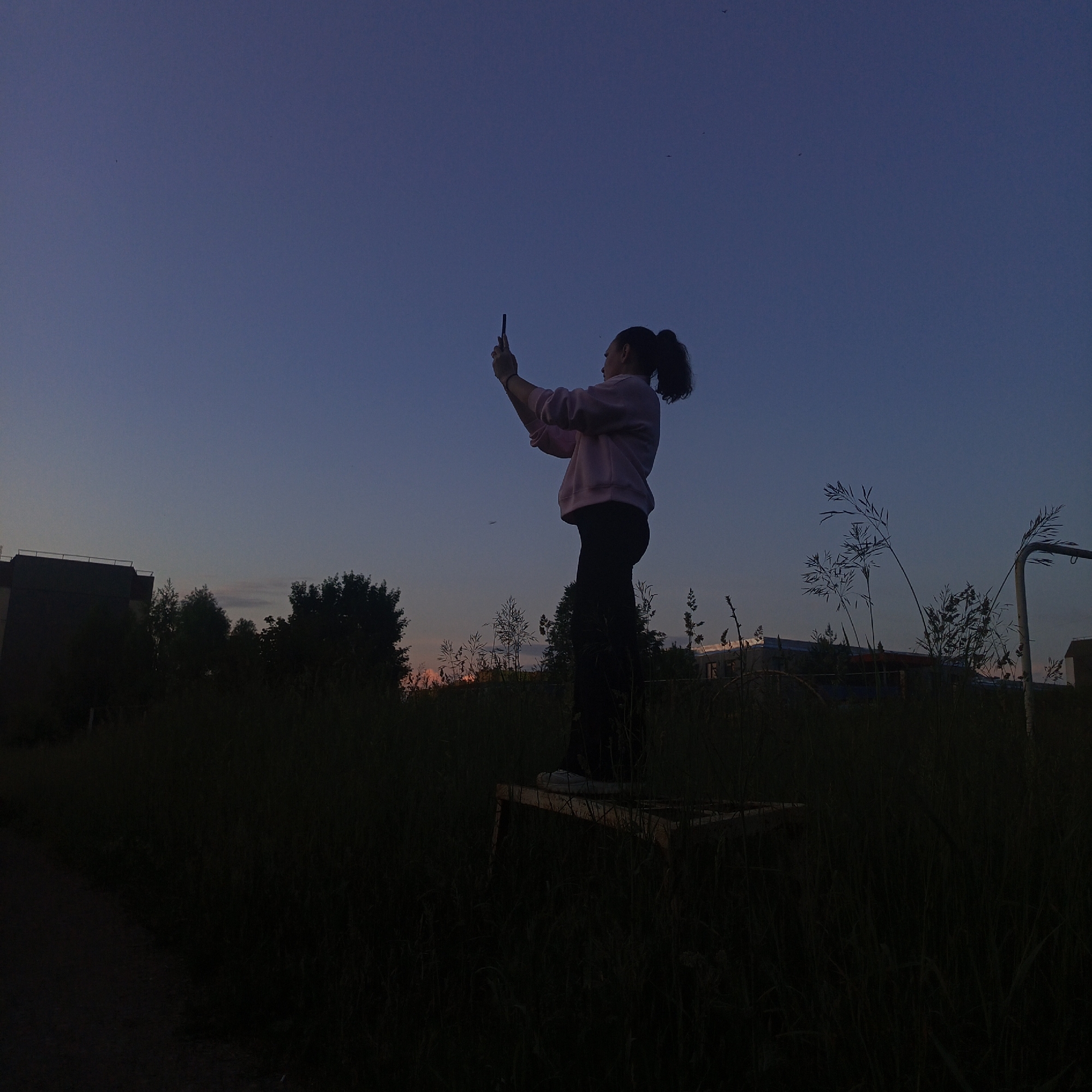 A silhouette of a person is standing on a raised platform in a grassy area at dusk. The person, facing away from the camera, is holding up a smartphone, seemingly taking a photo or video. They are wearing a light-colored sweatshirt and dark pants. The background shows a dark, clear sky transitioning from twilight hues, with some distant trees and structures, including a building with a flat roof. The environment appears to be an outdoor space with tall grasses and reeds in the foreground, possibly a park or undeveloped area on the outskirts of the city. There are no visible signs indicating the specific location within Марковский, Russia.