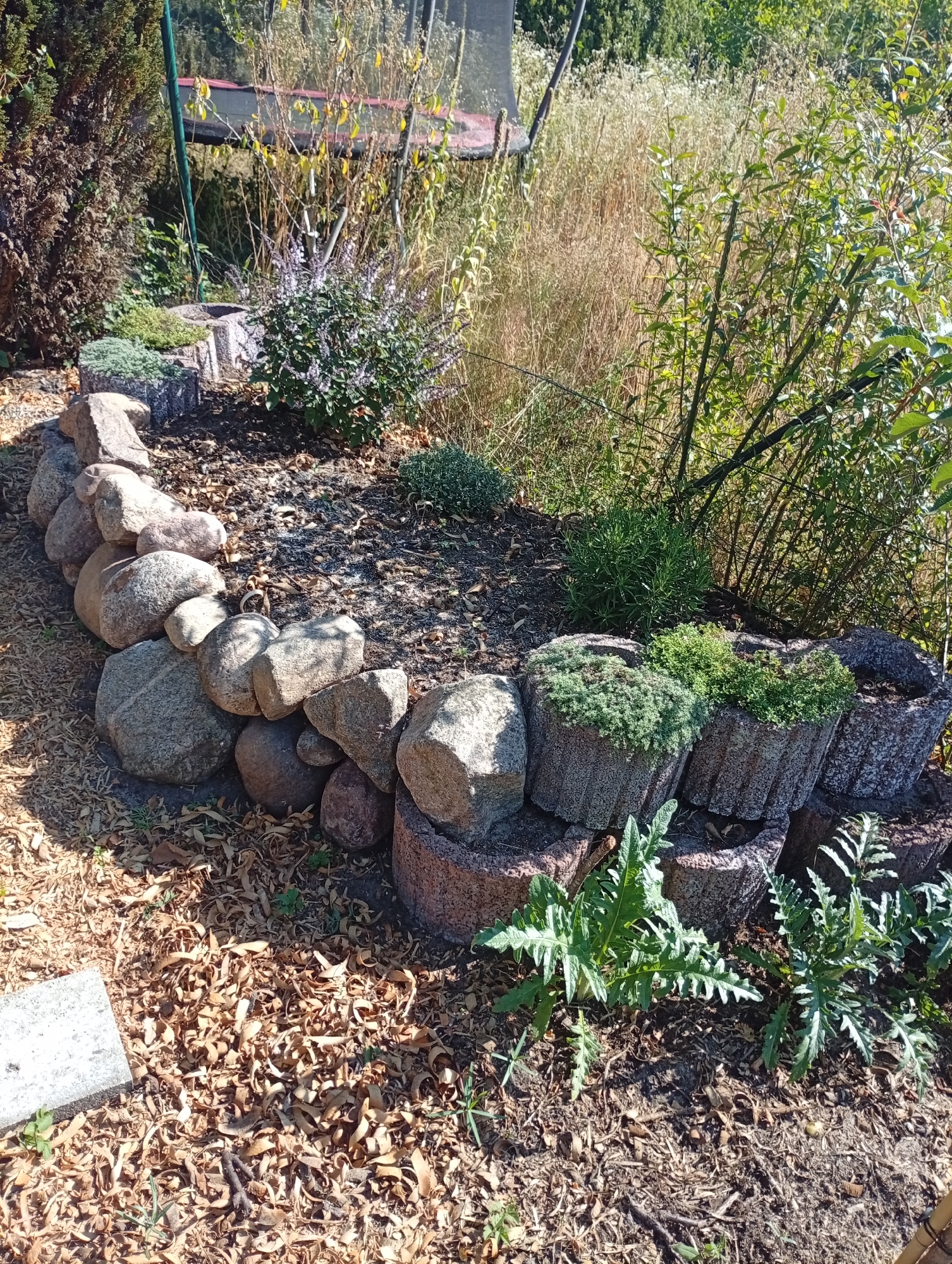 The image shows a garden bed bordered by a curved wall of large, rounded stones. Inside the bed, there are several planters made of a rough, textured material, each filled with low-growing green plants. Behind the planters, a bush with small purple flowers is visible. The ground is covered with dark mulch and scattered dry leaves. In the background, there are various plants, including tall dry grasses and some leafy green foliage. To the left, a dark green, coniferous shrub is present, and a tall green pole extends vertically. Part of a trampoline structure is visible in the upper background. The scene appears to be an outdoor setting in a garden, likely in Holm, Germany.