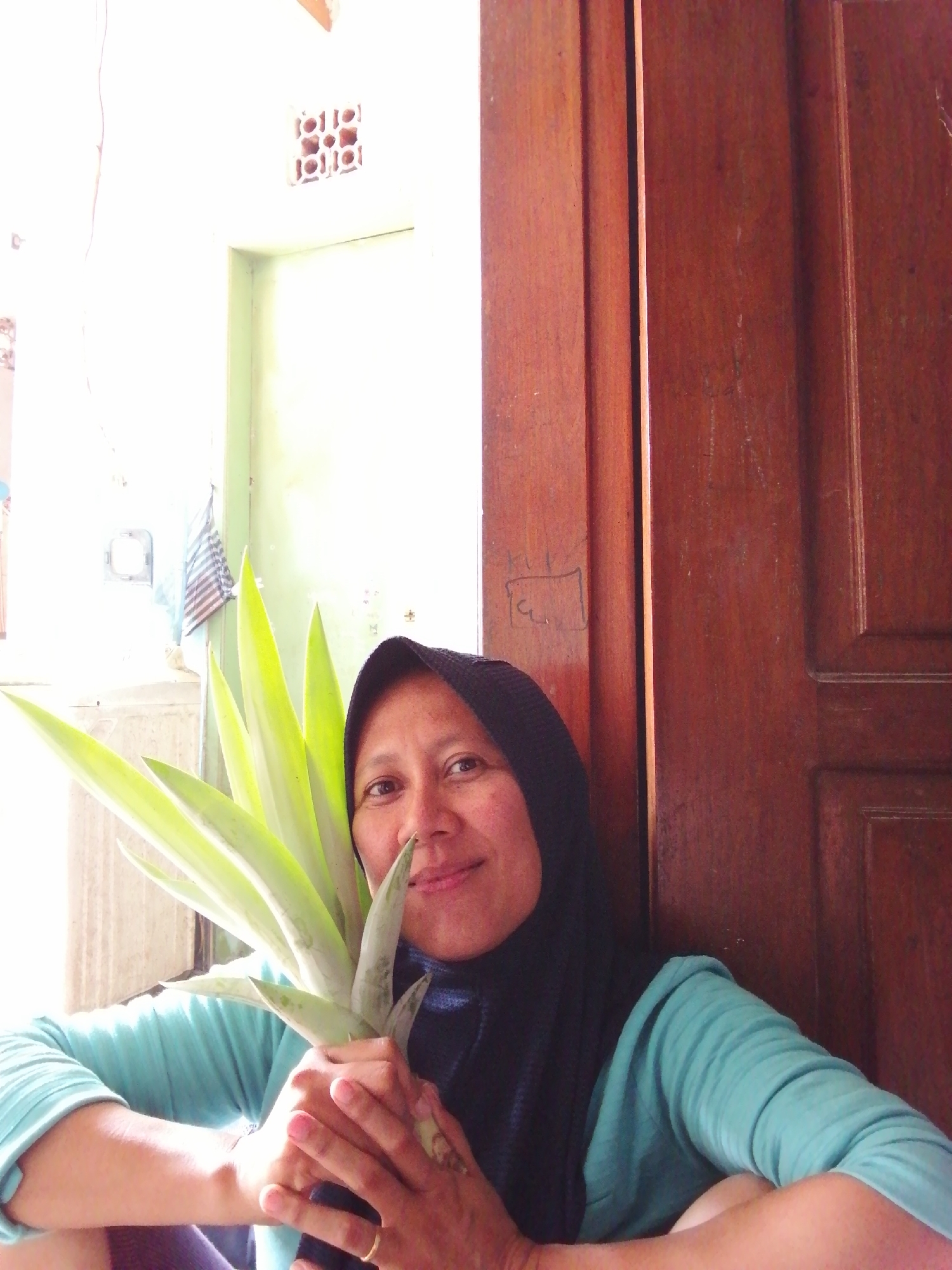 In an indoor setting, a woman wearing a dark blue hijab and a teal-colored shirt is holding a plant with long, pointed green leaves. She is seated and leaning against a wooden door on the right side of the frame. The plant is positioned in front of her, obscuring part of her body and the left side of her face. The background features a white wall with a vent and a light green door on the left. The overall lighting suggests it is daytime, with light streaming in from the left. The woman's expression is neutral.