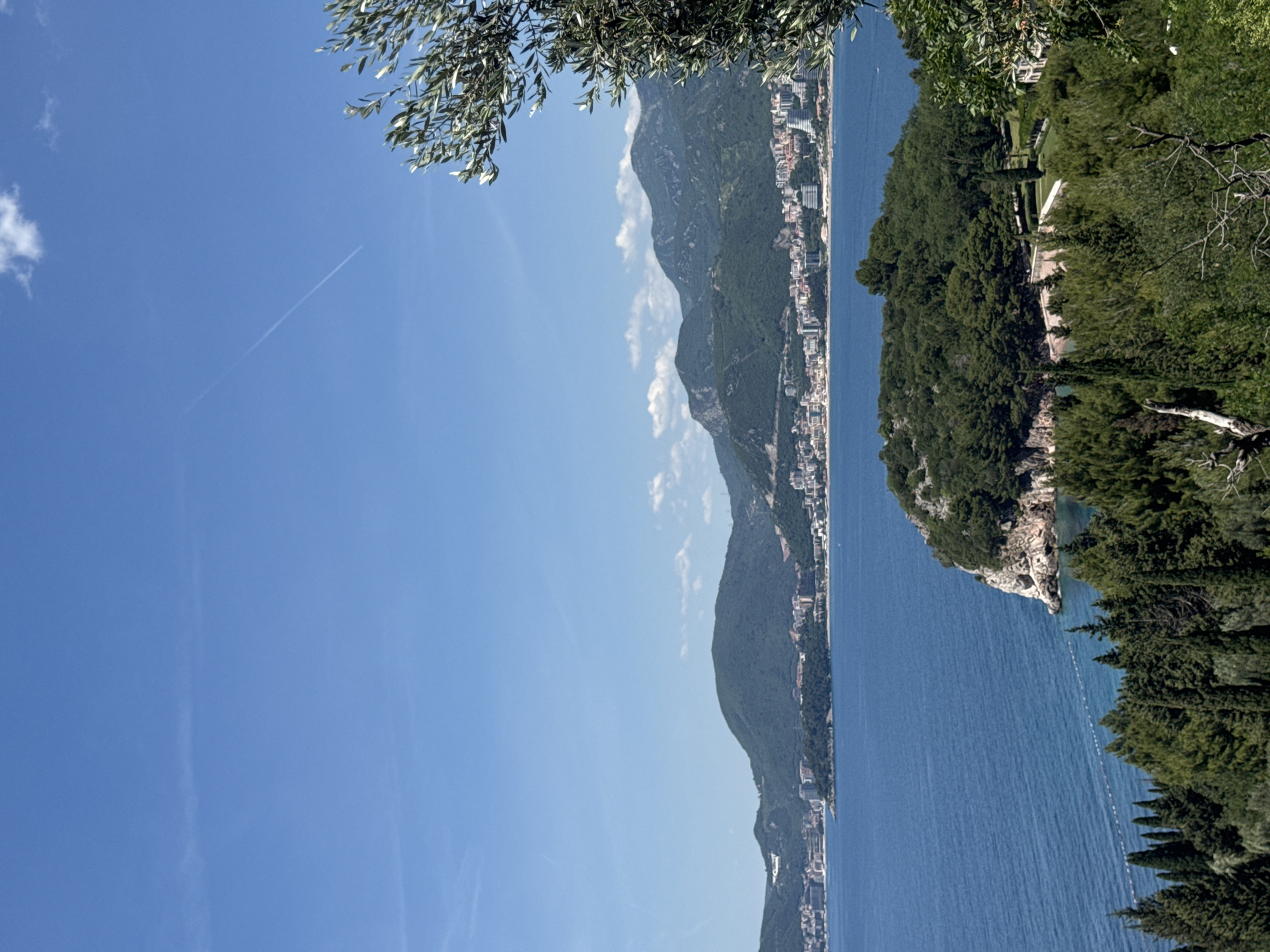 A landscape photograph captures the coastal scenery of Sveti Stefan, Montenegro, under a clear blue sky. A strip of land with buildings runs along the coastline between a mountain range on the left and a lush green island with trees and a small beach on the right. The blue sea fills the space between the island and the coastline. Tree branches with leaves partially frame the top left of the image, and a thin contrail is visible in the sky.