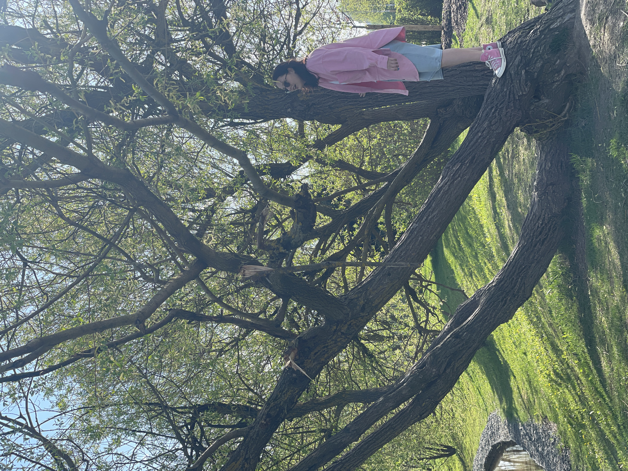 A young person with dark hair wearing a pink jacket, blue shorts, and pink sneakers lies prone on a large tree branch. The tree is expansive with many branches, some containing new spring growth. Grass is visible on the ground, and a structure that could be a bridge is partially visible at the bottom of the frame. The location is Moscow, Russia.