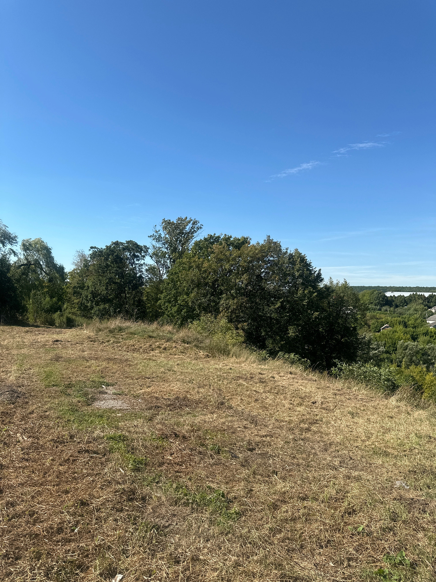 An elevated, medium shot captures a natural landscape under a clear, bright blue sky. The foreground features dry, golden-brown grass, suggesting a summer or early autumn setting. A dirt path or clearing is visible in the lower portion of the frame. Behind the grassy hill, a dense line of diverse trees forms a rich green backdrop, with some trees leaning slightly. The middle ground transitions into a more distant view of a valley or plain, dotted with more trees and glimpses of rooftops, indicating a rural or semi-rural settlement. The overall scene is serene and suggests a peaceful, undeveloped area within or near Makiv, Ukraine. There are no people or animals present.