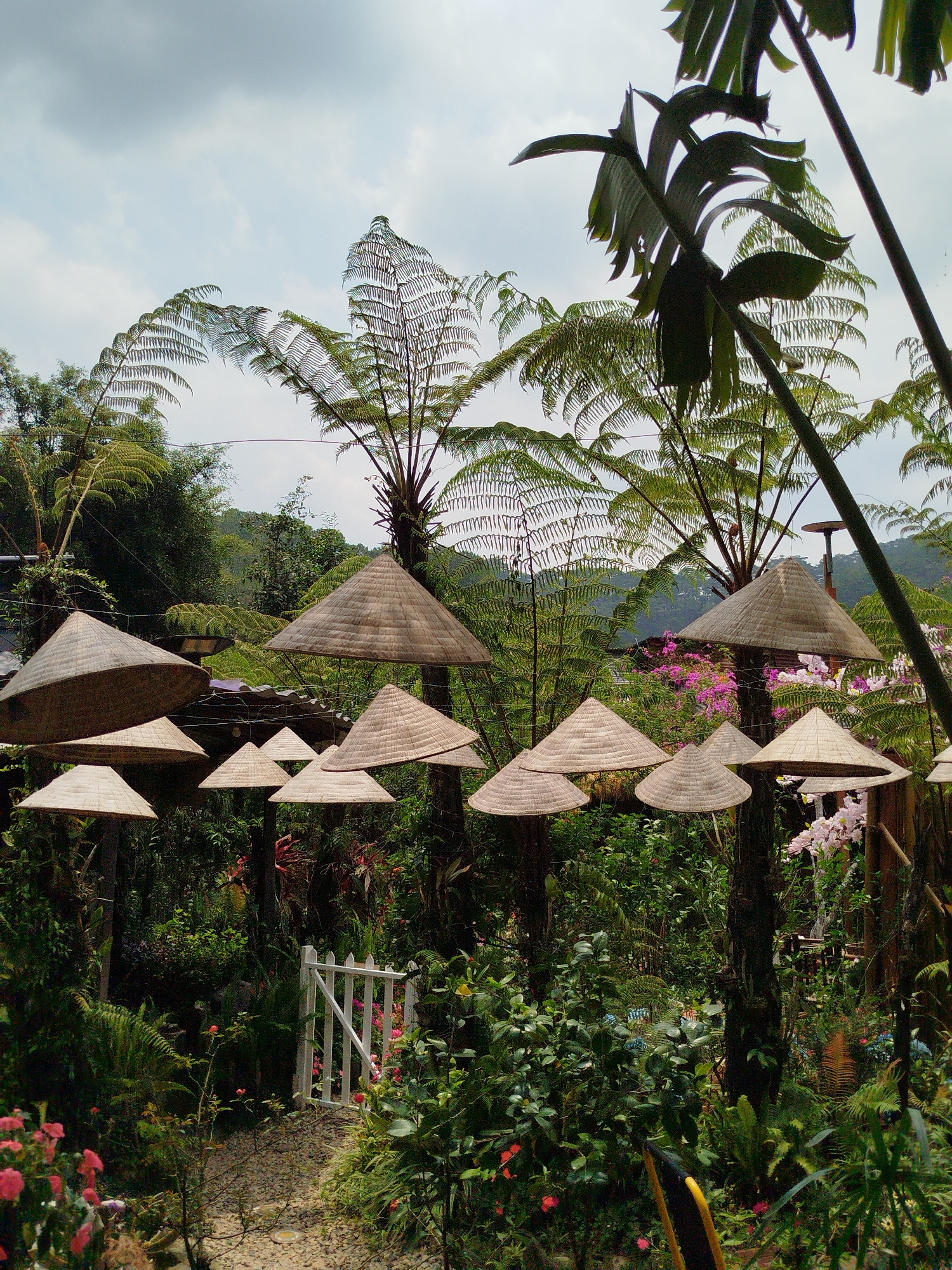 The image presents a lush garden scene in Da Lat, Vietnam. A series of conical straw hats are suspended on wooden posts, creating a shaded pathway. Various plants, including ferns and flowering shrubs, fill the foreground and middle ground. A small white picket fence is partially visible, indicating a path or entryway. In the background, larger ferns and trees rise towards a cloudy sky. No people are visible.