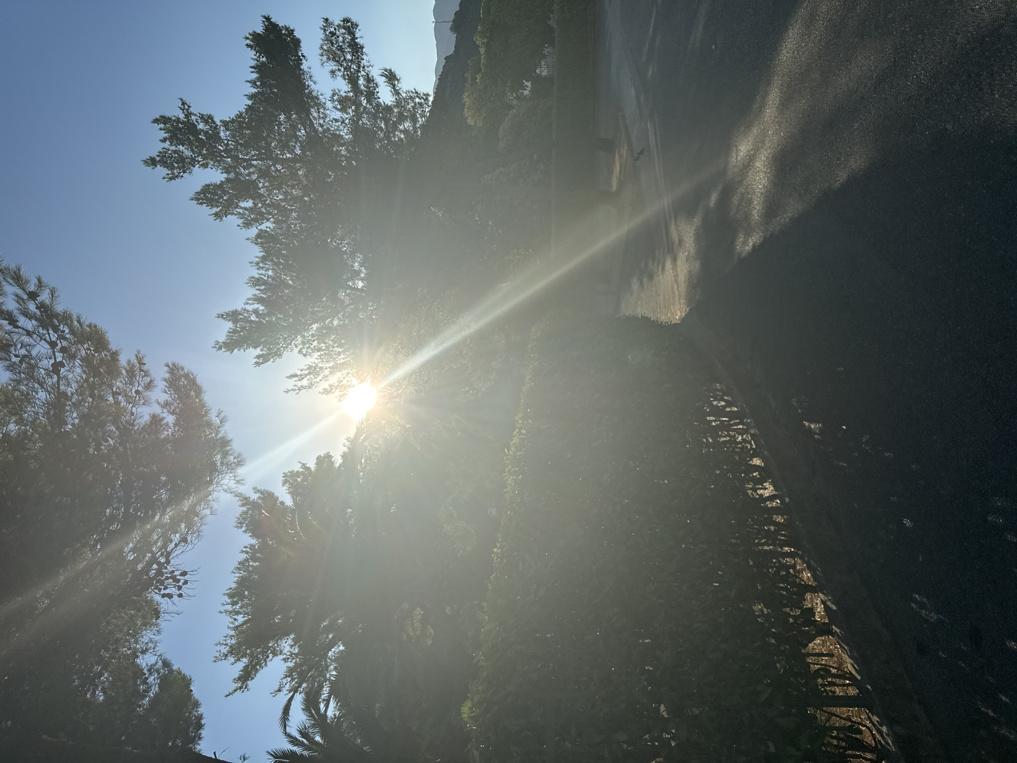 A low-angle shot captures the sun at its zenith, peeking through lush green trees in Budva, Montenegro. The sun's rays create a dazzling lens flare, obscuring the clear blue sky. In the foreground, a manicured hedge lines a paved road, casting long, dramatic shadows. The scene is bathed in the warm glow of the sun, suggesting a tranquil afternoon. No people are visible in the frame.