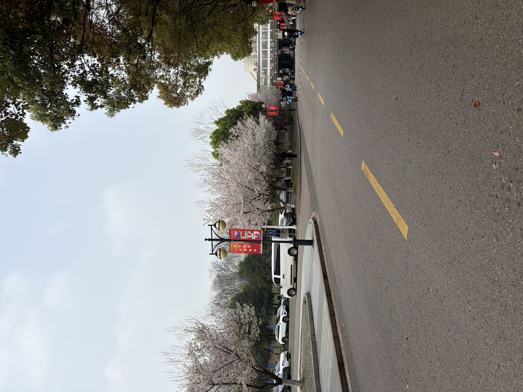 The image depicts a street scene in Jiangning District, China. A paved road with yellow lane markings runs along the right side. Trees, some with white blossoms, line the left side of the road, along with parked vehicles, light posts, and banners displaying text in Chinese. A multi-story building is visible in the background. A few people can be seen along the road. The sky is overcast.