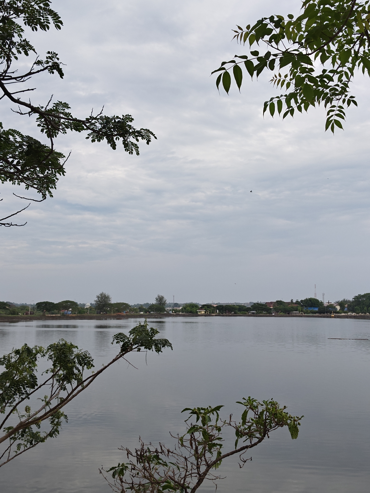 This image depicts a serene lakeside scene in Lhokseumawe, Indonesia. In the foreground, branches of leafy trees extend from the left and bottom of the frame, their green foliage silhouetted against a pale, overcast sky. The branches appear to be from a cluster of trees, with some closer to the camera and others further back.
The middle ground is dominated by a calm body of water, reflecting the muted tones of the sky. The surface of the lake is largely undisturbed, with subtle ripples suggesting a gentle breeze.
On the far side of the lake, a distant treeline marks the edge of the land. Beyond the trees, several buildings are visible, including houses, some with visible roofs, and taller structures that appear to be communication towers or utility poles. A large, domed structure, possibly a water tower or a civic building, stands out amidst the other structures. The overall impression is one of a tranquil semi-urban or peri-urban landscape. There are no people visible in the image. The atmosphere is subdued, likely due to the cloudy weather.