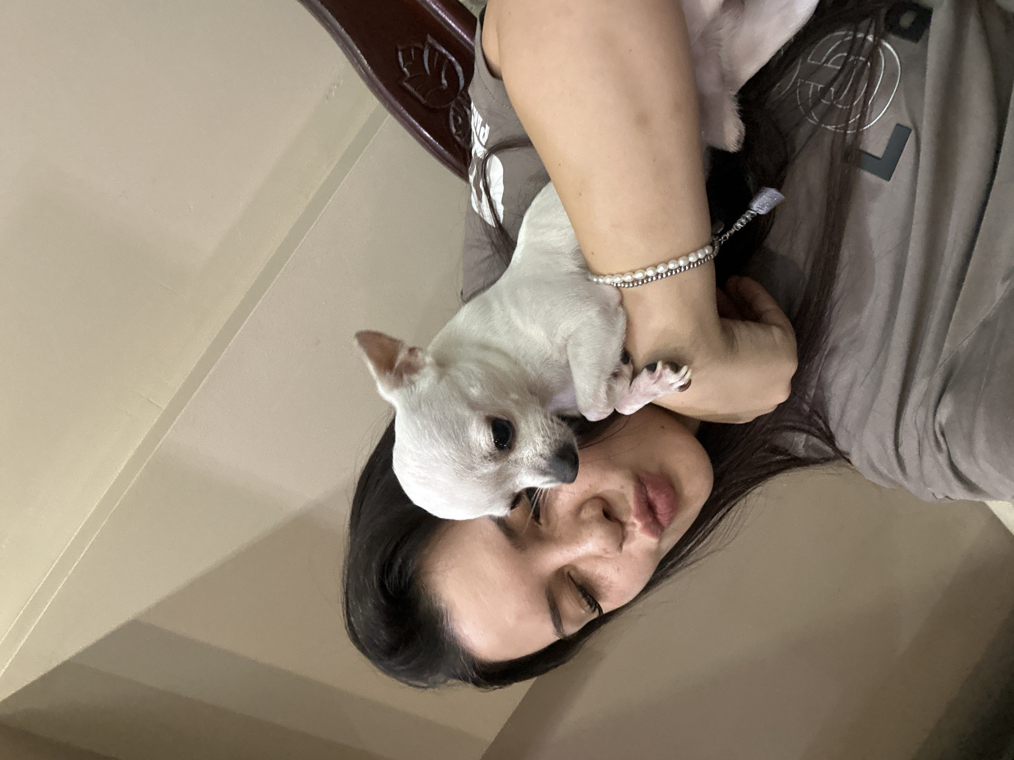 A young woman with dark hair and light skin is taking a selfie with a small white chihuahua. She is puckering her lips for the photo, and her eyes are partially closed. The dog is resting in her arms, facing away from the camera. The woman is wearing a grey t-shirt, and a beaded bracelet is visible on her arm. The background appears to be an indoor setting with beige walls and a wooden structure. The lighting is soft and appears to be coming from above. The image was taken in Sliven, Bulgaria.