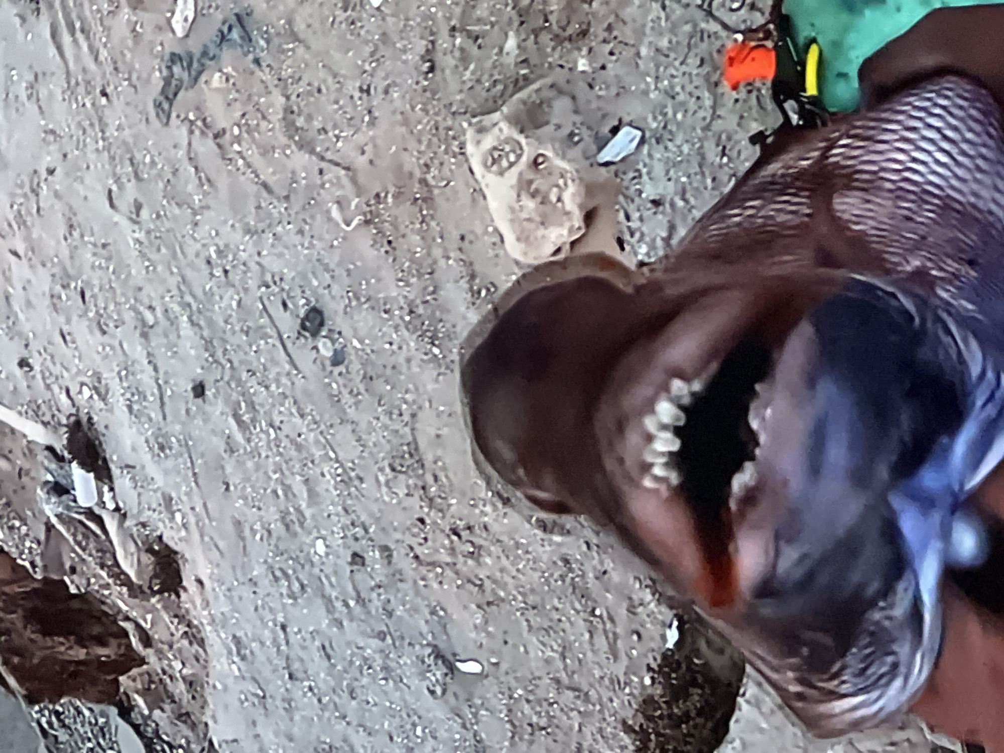 The image shows a close-up, first-person perspective of a person holding a fish. The fish is dark brown with large, sharp teeth visible in its open mouth. The scales of the fish are clearly visible, appearing silvery-white. In the background, the ground is a mixture of sand, pebbles, and some debris, including what appears to be a white plastic bottle and a rock. To the right of the image, there are some brightly colored objects, including an orange buoy and a green bag. The setting appears to be outdoors, possibly near a body of water given the presence of the fish. The image quality is somewhat blurry, suggesting it may have been taken with a low-resolution camera or in low light conditions. There is no specific indication of the city of Casablanca, Morocco, in the image itself.