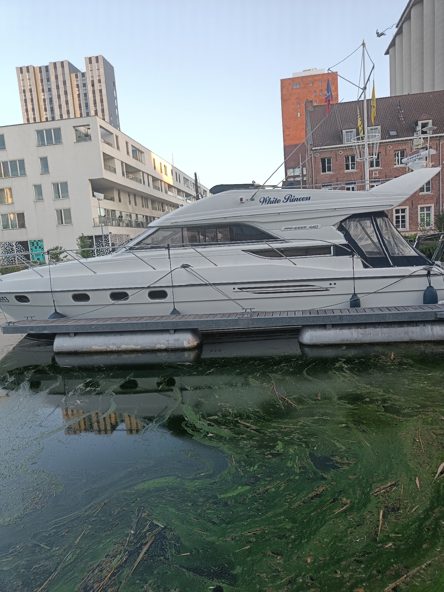 In the city of Leuven, Belgium, a white yacht named "White Princess" is docked at a pier. The yacht is a "Princess 440" model. The water in the foreground is murky and covered with green algae and debris. In the background, modern apartment buildings and a brick building with a red roof are visible. The sky is clear and blue. The scene appears to be captured during daylight, likely in the late afternoon due to the warm lighting on the buildings.