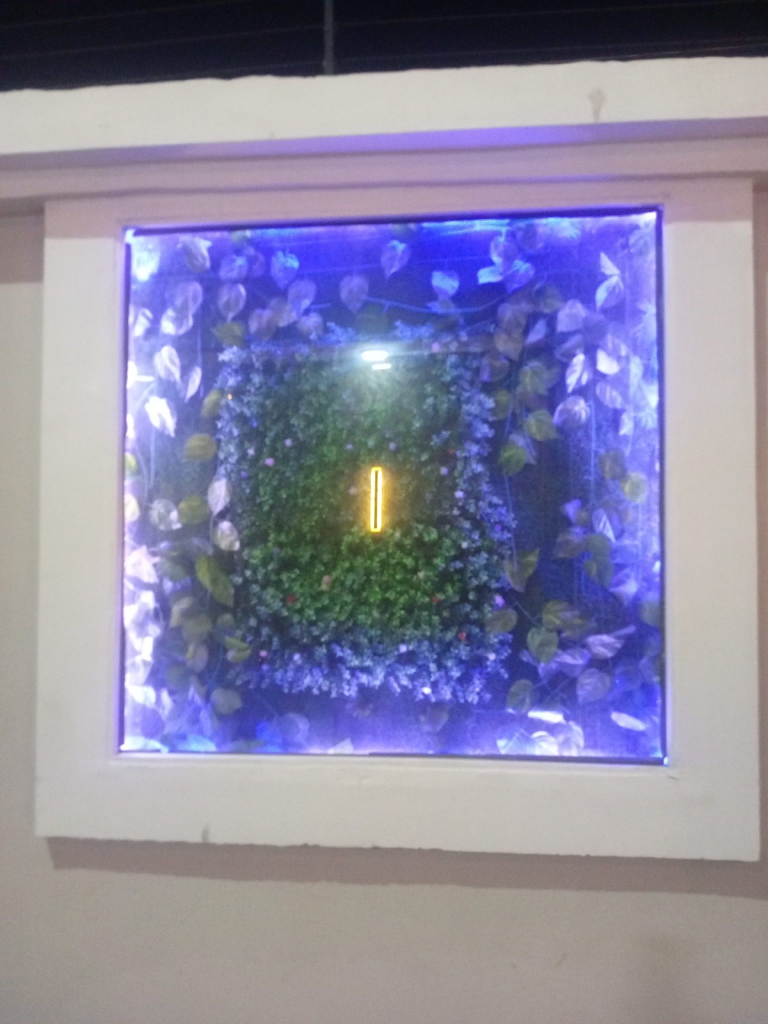 The image shows a square framed display containing artificial greenery and foliage, illuminated by blue and yellow lights. The display is mounted on a light-colored wall. The greenery in the center appears to be a dense patch of small leaves, possibly artificial moss or a similar texture. Surrounding this central area is a layer of artificial foliage with broader leaves, intertwined with the blue lighting that creates an ethereal glow. A prominent vertical yellow light, shaped like a "1", is positioned in the center of the green display. The frame is a simple, thick white border. The overall scene suggests an indoor decorative element or possibly an exterior architectural feature designed for aesthetic appeal. The location of Sabon Gari East, Nigeria is mentioned, but there are no specific visual cues within the image to confirm or deny this location.