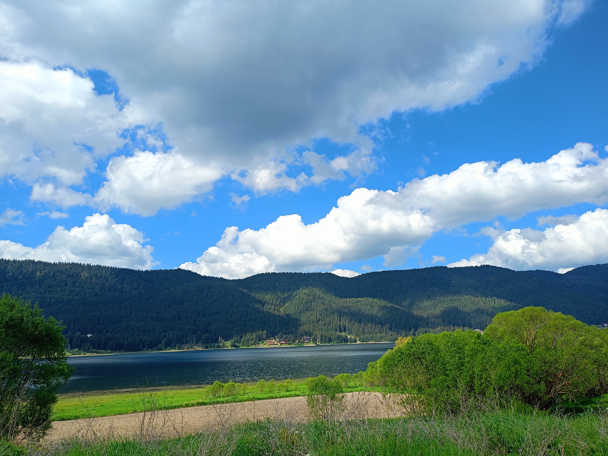 The image depicts a landscape in Sarnitsa, Bulgaria. A lake occupies the middle ground, bordered by a dark green, densely forested mountain range in the background. The sky is mostly blue with patches of white, puffy clouds. The foreground features a grassy field, transitioning into a dirt or sandy area. Bushes and trees are present on both sides of the image. There are no people visible.