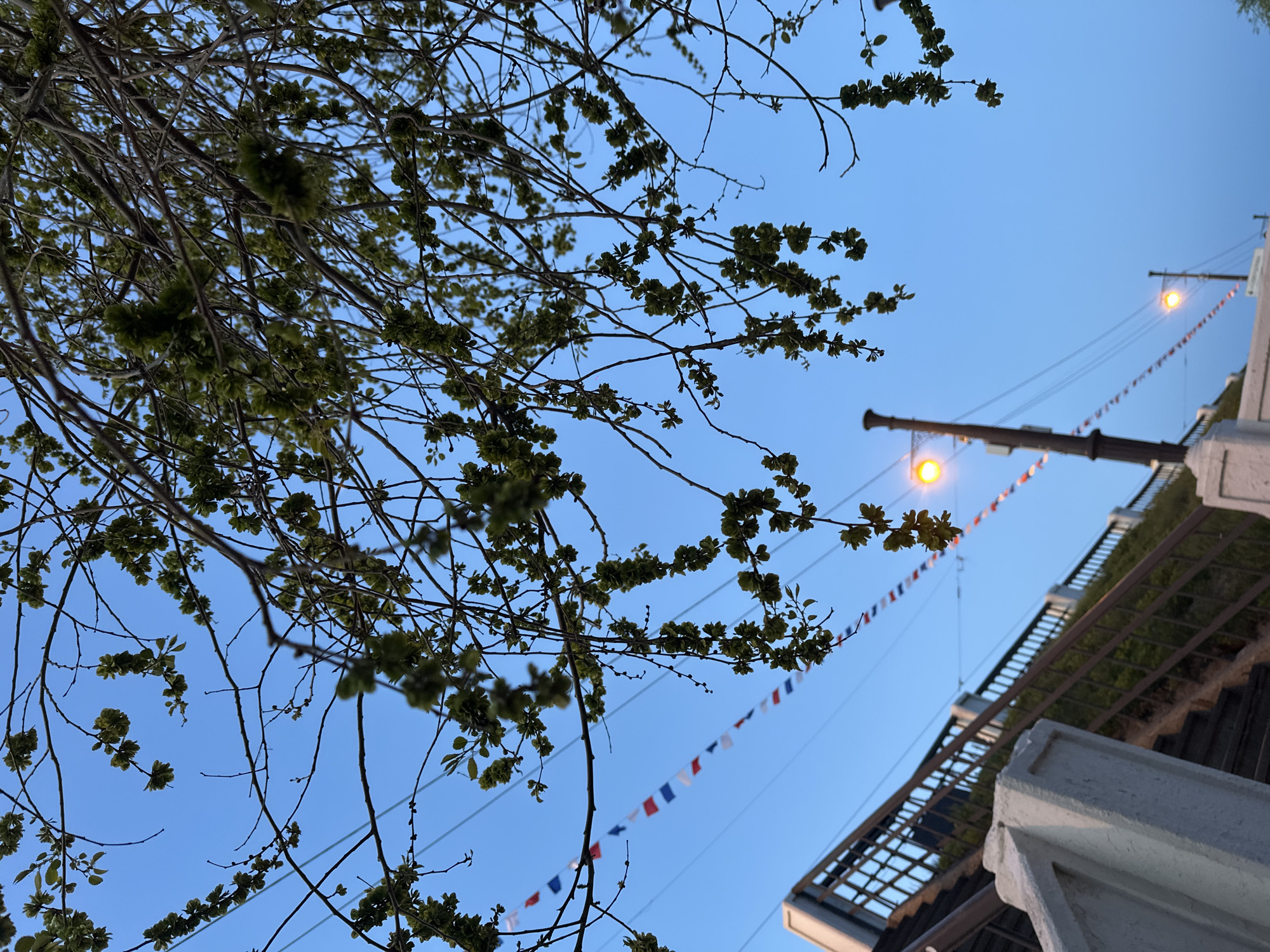 The image depicts a low-angle shot of the sky above Irkutsk, Russia. The sky is a clear, pale blue. Bare tree branches with small green leaves occupy the left portion of the frame. A street light with an illuminated orange bulb is visible to the right, with electric lines running towards the upper right corner. A row of triangular flags in red, white, and blue hangs beneath the electric lines. A building with a staircase and railing are visible in the lower right corner. The building appears to be white or light-colored. The perspective is tilted upwards, emphasizing the height of the scene.