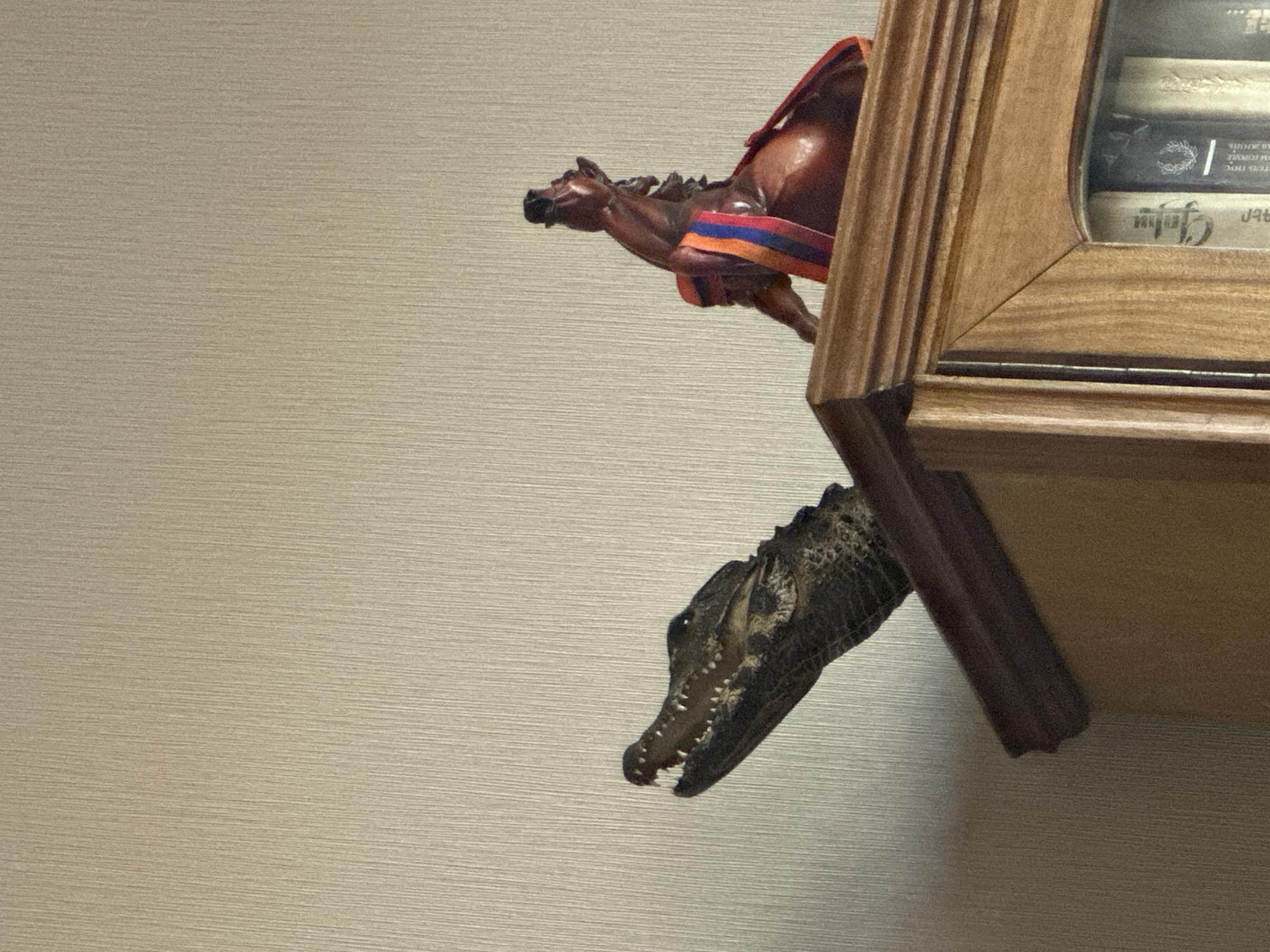 A partial view of a wooden cuckoo clock is shown against a neutral, textured wall. A carved wooden horse, adorned with a saddle blanket featuring red, blue, and orange stripes, appears to be emerging from the top of the clock. Beneath the horse, a carved wooden alligator also extends from the clock. The scene is indoors, and the location is Unknown, Unknown.