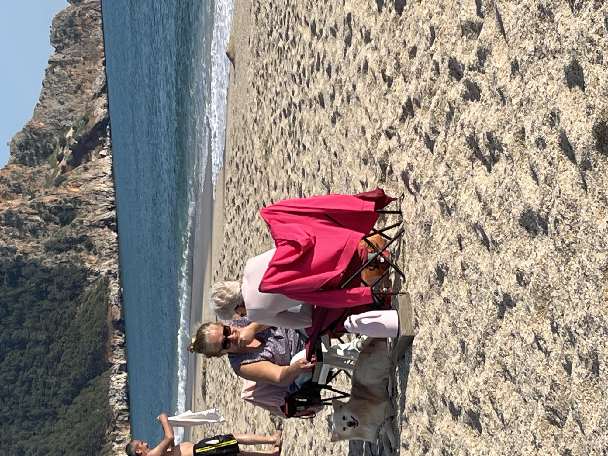 The image depicts a beach scene in Alanya, Turkey. In the foreground, two women are sitting in beach chairs. One woman is wearing sunglasses and a patterned top. The other woman has short, light-colored hair and a light-colored top. A pink jacket is draped over one of the chairs. A light-colored dog stands next to the chairs. A partially visible man in swim trunks is standing on the beach near the waterline. In the background is the coastline and a mountain with lush vegetation. The sea is visible along the edge of the frame. The beach is sandy with visible grains.