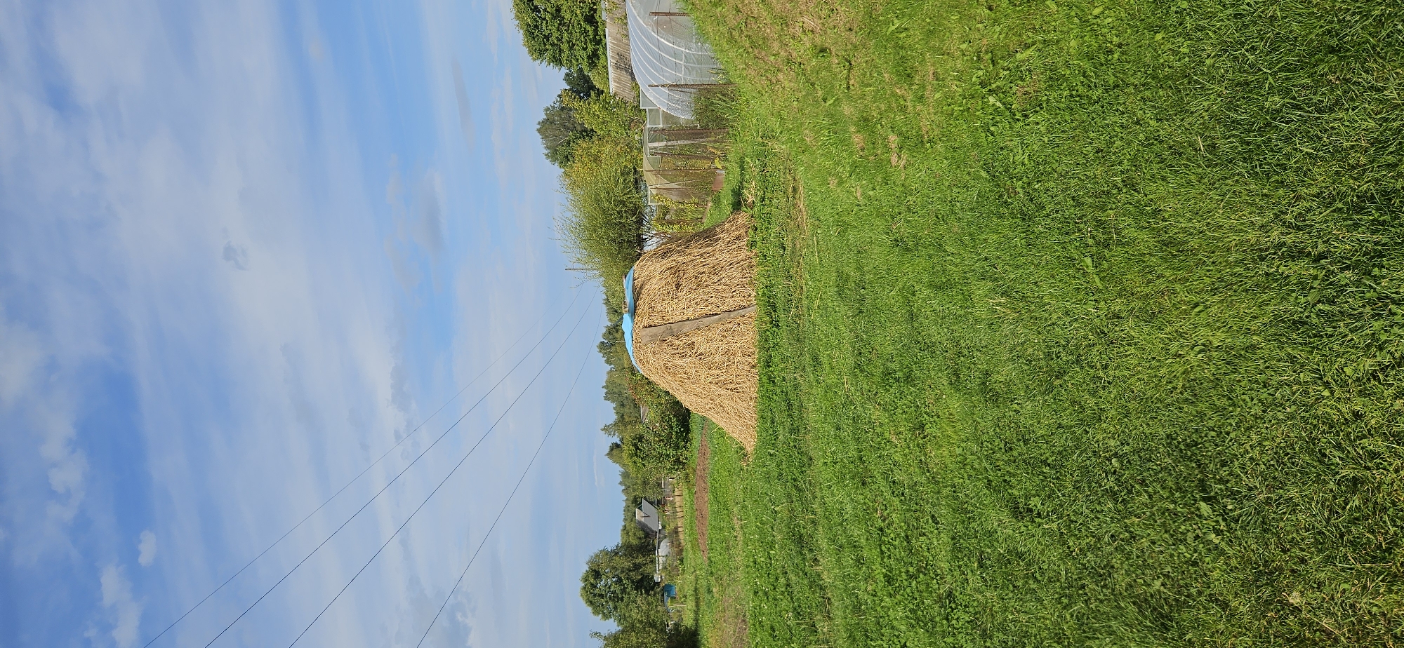 A landscape photograph captures a haystack in a field under a blue sky with scattered clouds. The haystack is conical in shape, topped with a blue tarp, and supported by wooden stakes. Behind the haystack, there are greenhouses, trees, and houses visible in the distance. Power lines stretch across the sky, and the ground is covered in lush green grass. The overall scene depicts a rural setting, possibly in or near Мазалаўскі сельскі Савет, Belarus.