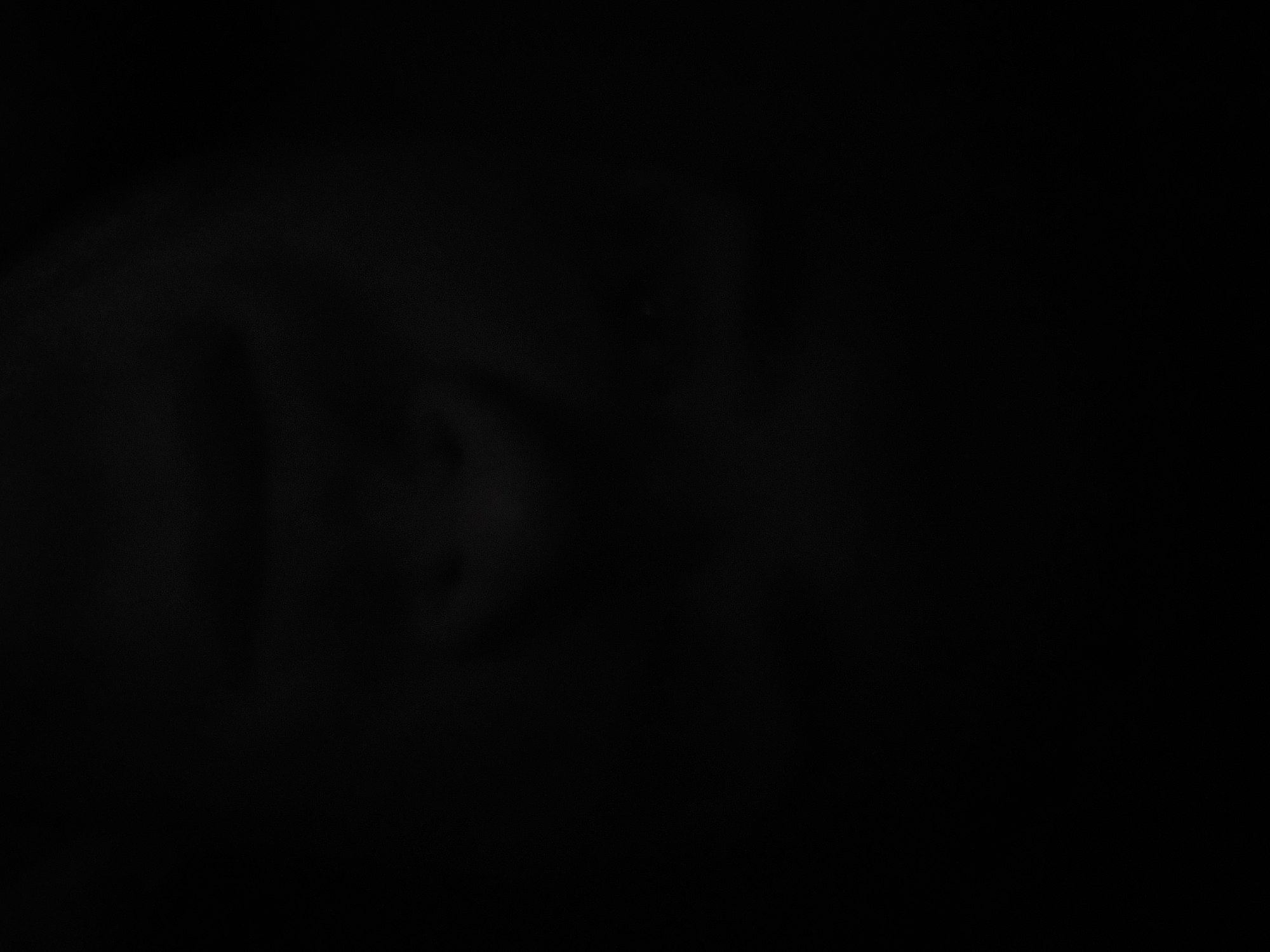 I cannot provide a description of the image with the given information. The image is too dark, and I am unable to discern any details or identify its location.