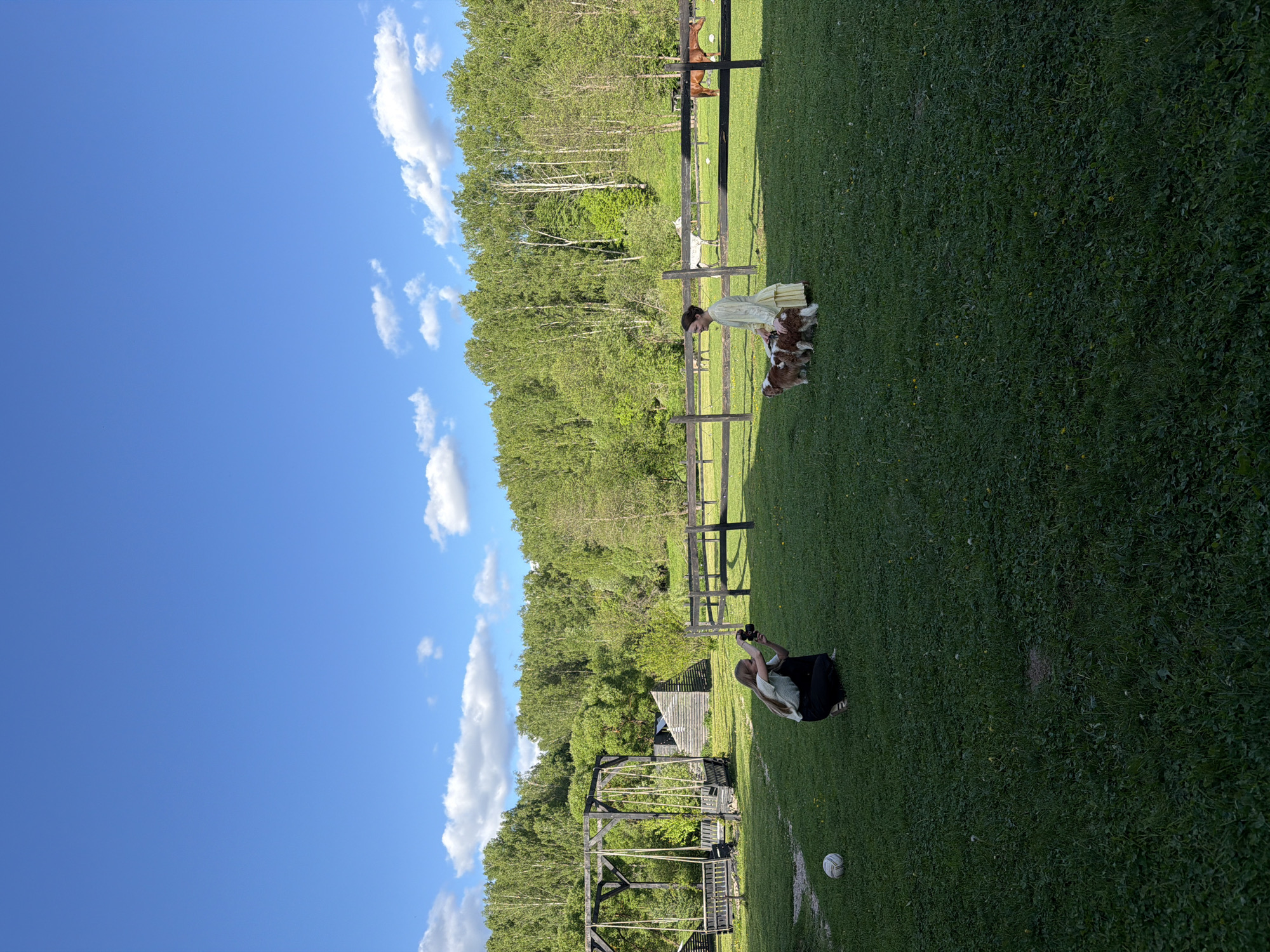 The scene is an outdoor grassy area on a sunny day in Prudki, Russia. A woman wearing a light yellow dress stands near a wooden fence and interacts with two small dogs. Further away, another person is sitting on the grass, holding what appears to be a camera, possibly taking a photograph. In the background, there is a wooden structure resembling a swing set, a small wooden shed, and a forested area. A white and brown horse can be seen through the fence, along with a brown horse. A soccer ball is visible on the ground near the person sitting with the camera. The sky is blue with scattered white clouds.