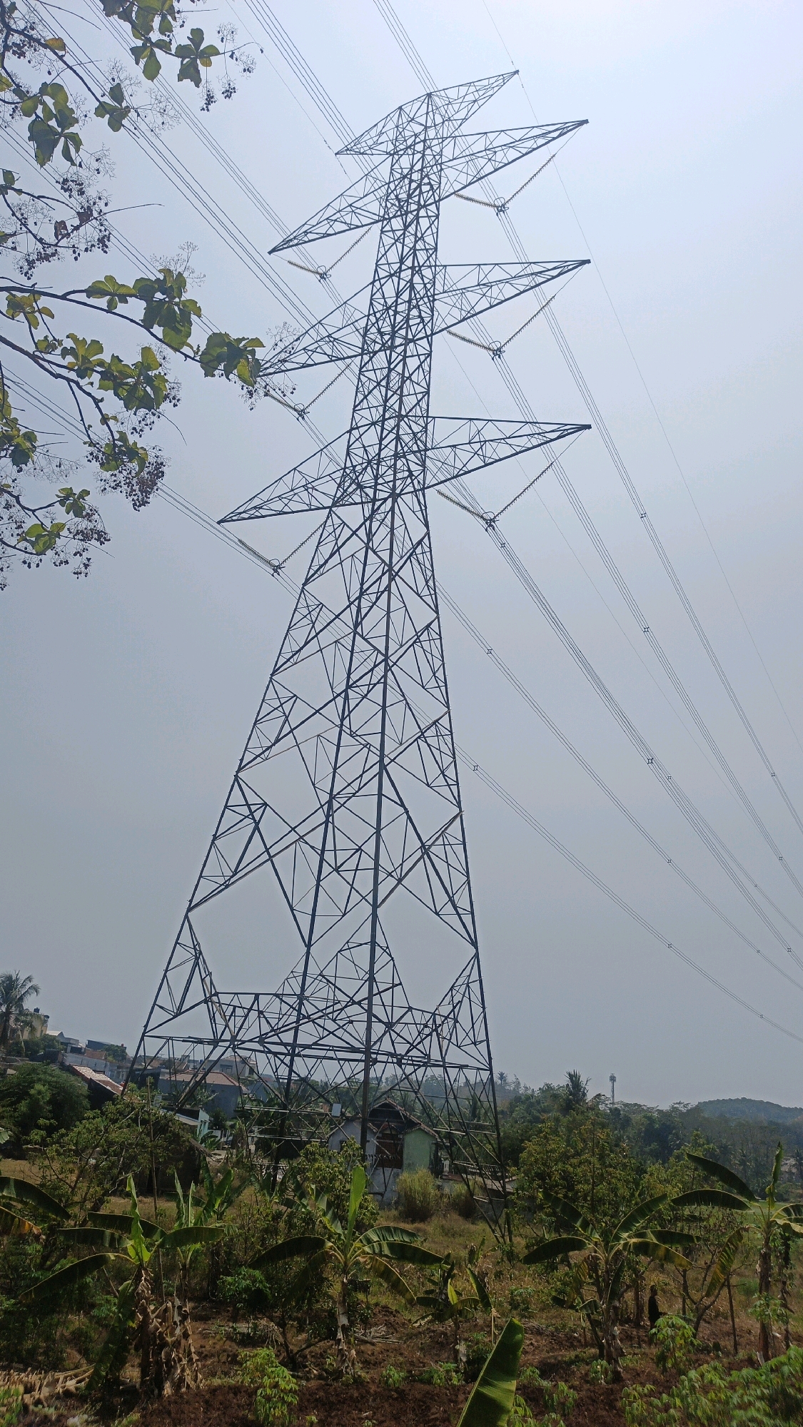 A low-angle, full shot captures a massive electrical tower in Leyangan, Indonesia, dominating the scene against an overcast sky. The tower, constructed from dark metal lattice, rises from a hilly landscape dotted with houses, lush green trees, and banana plants. Multiple high-voltage power lines extend from the tower, crisscrossing the sky. In the foreground, fertile brown soil suggests agricultural activity, with various plants, including banana trees, reaching towards the sky. The atmosphere appears calm and rural, with no visible people or animals. The overall impression is one of industrial infrastructure integrated into a natural, cultivated environment.
