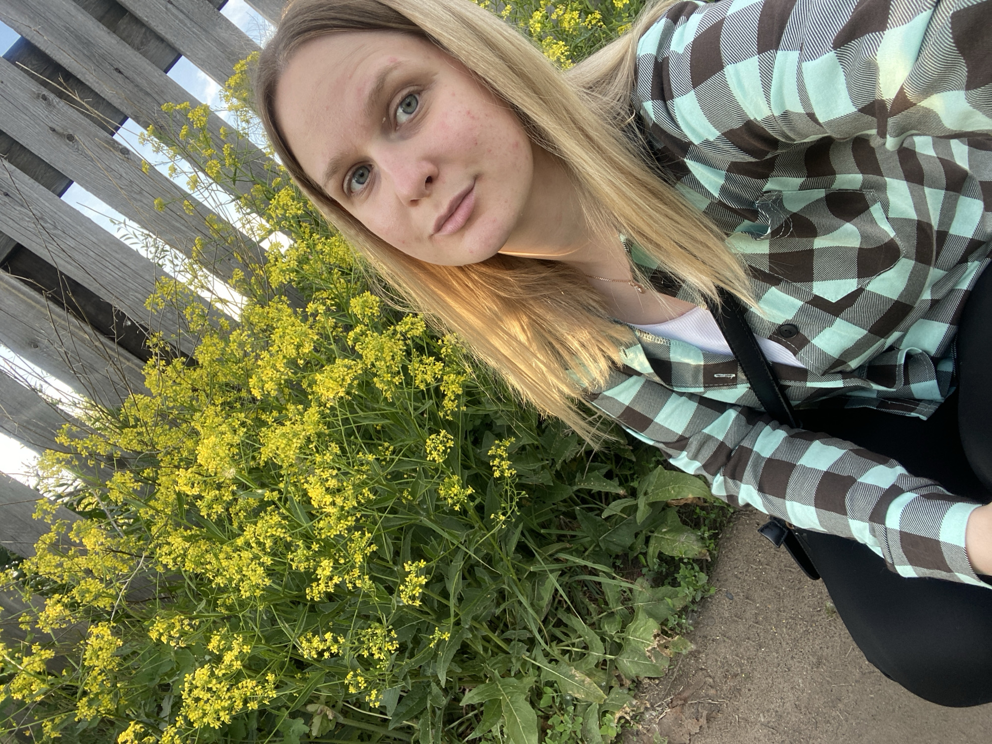 A young blonde woman is featured in an outdoor setting in Chaikovsky, Russia. She has light skin, blue eyes, and is looking directly at the camera with a calm, neutral expression. Her long, straight blonde hair falls around her shoulders. She is wearing a button-up shirt with a distinctive mint green and brown plaid pattern over a white undershirt, and black bottoms. A delicate necklace is visible around her neck.
The woman is positioned in front of a vibrant display of dense green foliage dotted with numerous small yellow flowers, reminiscent of wild mustard or rapeseed. Behind the flora, a weathered wooden fence with horizontal slats rises, allowing glimpses of a clear blue sky through its gaps. The ground in the immediate foreground is a mix of dirt and sparse green plants. The scene is brightly lit by natural daylight, suggesting it is daytime. The woman appears to be crouching or leaning into the frame, possibly for a selfie or a close-up shot. No visible text is present in the image.