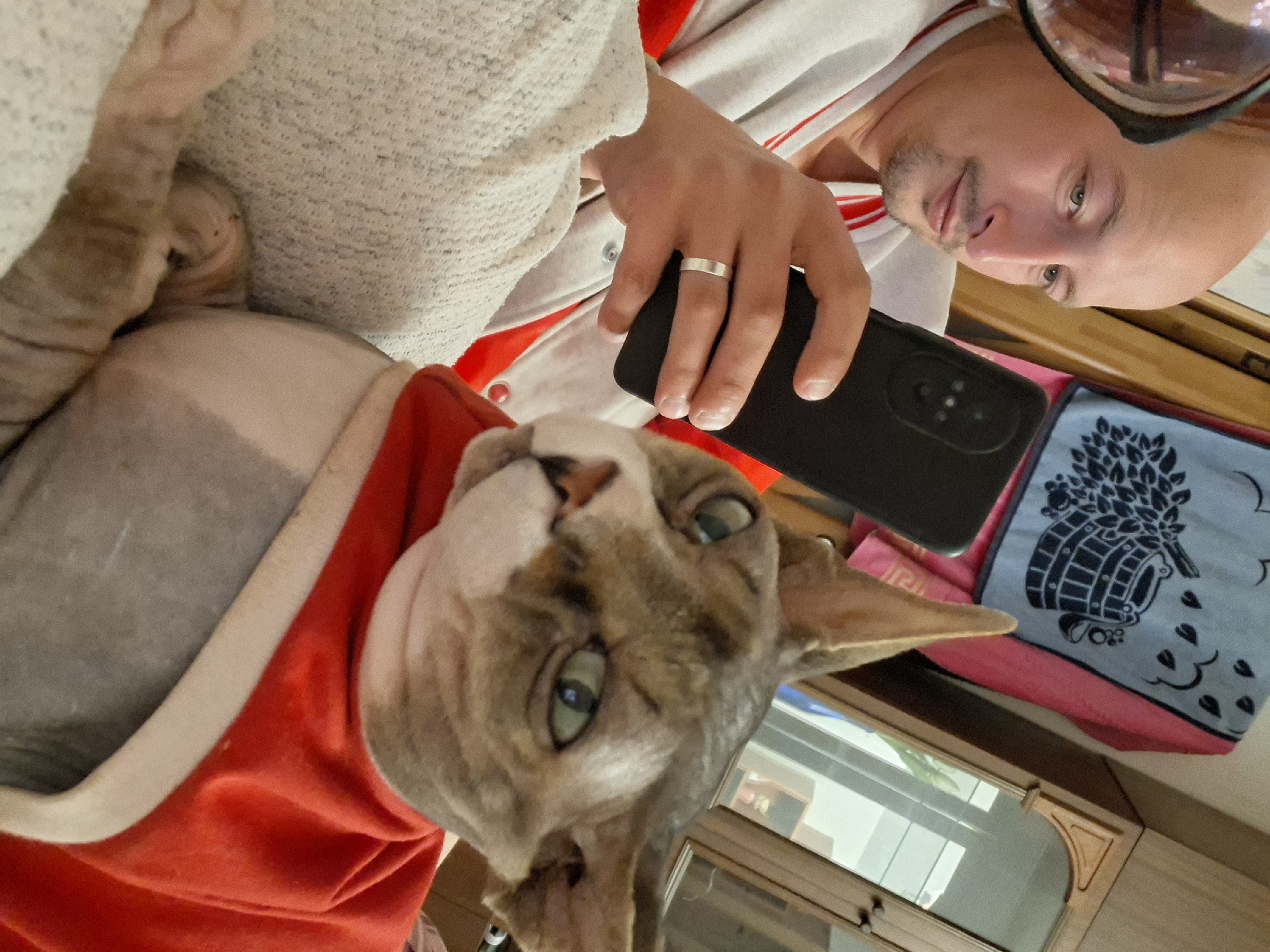 A bald man with a goatee and a light mustache looks at his phone while a hairless cat in a red outfit sits next to him. The man is wearing a white and red jacket. The cat has large ears and green eyes. The scene appears to be indoors, possibly a living room, with furniture and wall decor visible in the background. The image is taken from a slightly high angle, looking down at the subjects.