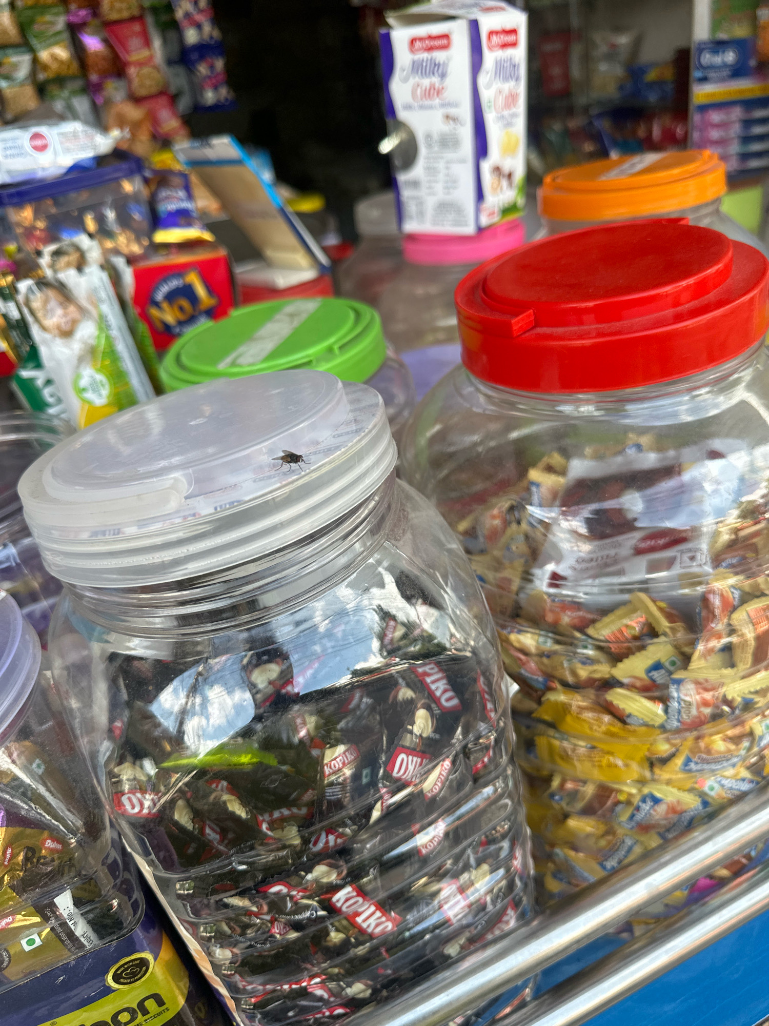 The image depicts a roadside stall in Tanakpur, India, displaying various packaged snacks and candies in clear plastic jars. The stall appears to be situated on a street, with other stalls and products blurred in the background. In the foreground, three large clear plastic jars are prominently featured, filled with individually wrapped candies. The leftmost jar contains dark-colored candies with "KOPIKO" branding visible. The middle jar, topped with a clear lid on which a fly is resting, also holds dark-colored candies. The rightmost jar contains yellow-wrapped candies. Two smaller jars, one with a green lid and another partially visible with a purple lid, are also present. Behind the jars, stacks of packaged snacks and drinks are visible, including cartons with "Milky Cube" branding. The overall scene suggests a bustling market or street vendor environment in Tanakpur.