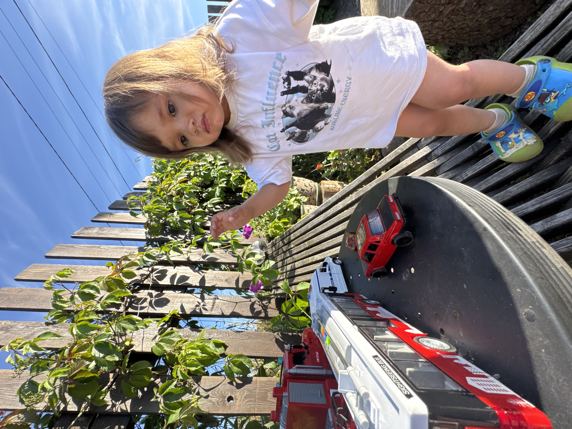In Kempelevo, Russia, a young toddler stands on a wooden slatted bench, outdoors. The child wears a white t-shirt with a graphic of cats and the text "Cat Influence Sublime Energy." On their feet are blue and green Crocs featuring cartoon characters. The toddler is looking down and to their right, with their right hand extended slightly. In front of the child, on a black circular table, are several toy vehicles: a red fire truck, a white and red bus labeled "SIGHTSEEING BUS," a white van, and a red car. Behind the table and bench, a weathered wooden fence runs vertically, with green vines and some small purple flowers growing on and around it. The sky is blue with thin white clouds. Sunlight illuminates the scene, casting shadows from the fence and foliage.