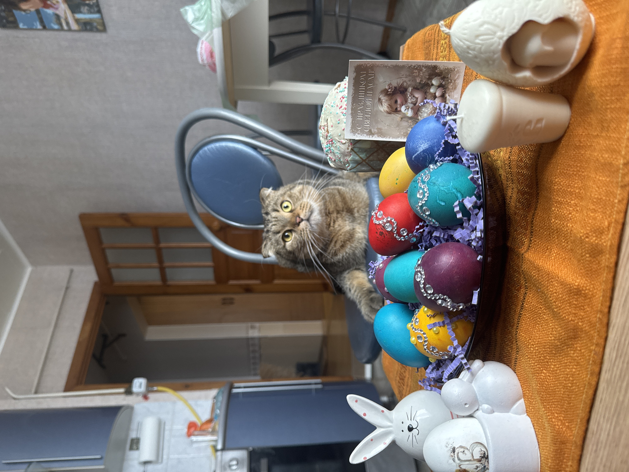 A close-up, rotated, indoor photograph shows an assortment of Easter items arranged on a table, with a cat peering out from behind a blue chair. The scene is likely located in a home in Chaikovsky, Russia, considering the card with Russian text amidst the Easter decorations.
The Easter items include a traditional Easter cake decorated with sprinkles, a card featuring an image of a child and the text "С праздником Светлой Пасхи" (Happy Easter), a collection of decorated eggs in various colors with rhinestones nestled in purple paper shreds within a black tray, two white candle figures shaped like an egg and a pillar, and a white ceramic rabbit decoration.
A tabby cat with expressive eyes is positioned behind a blue-cushioned chair with a silver frame. The background reveals a kitchen area with light-colored walls, a door with a wooden frame, a counter with a blue cabinet, and assorted kitchen items. The table is covered with an orange textured cloth.