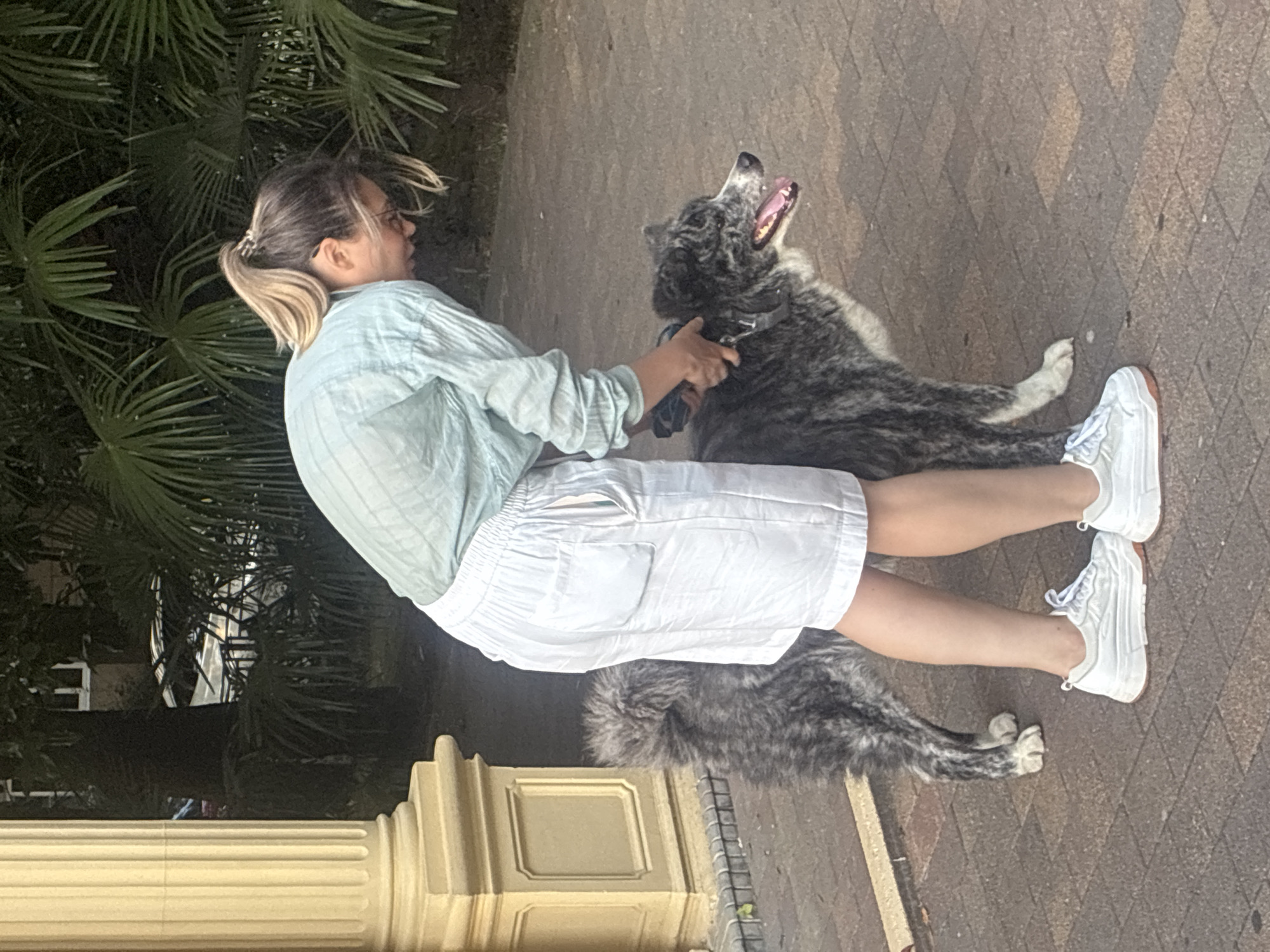 A woman with blonde hair in a ponytail, wearing a light blue collared shirt and white shorts, is bending down to adjust a leash on a medium-sized dog. The dog, with grey and black fur, is facing to the right with its mouth open. They are on a paved walkway lined with palm trees and a decorative column, suggesting an outdoor urban environment. The background shows foliage and a hint of buildings. The scene appears to be set in Sochi, Russia, given the presence of palm trees and architectural style.