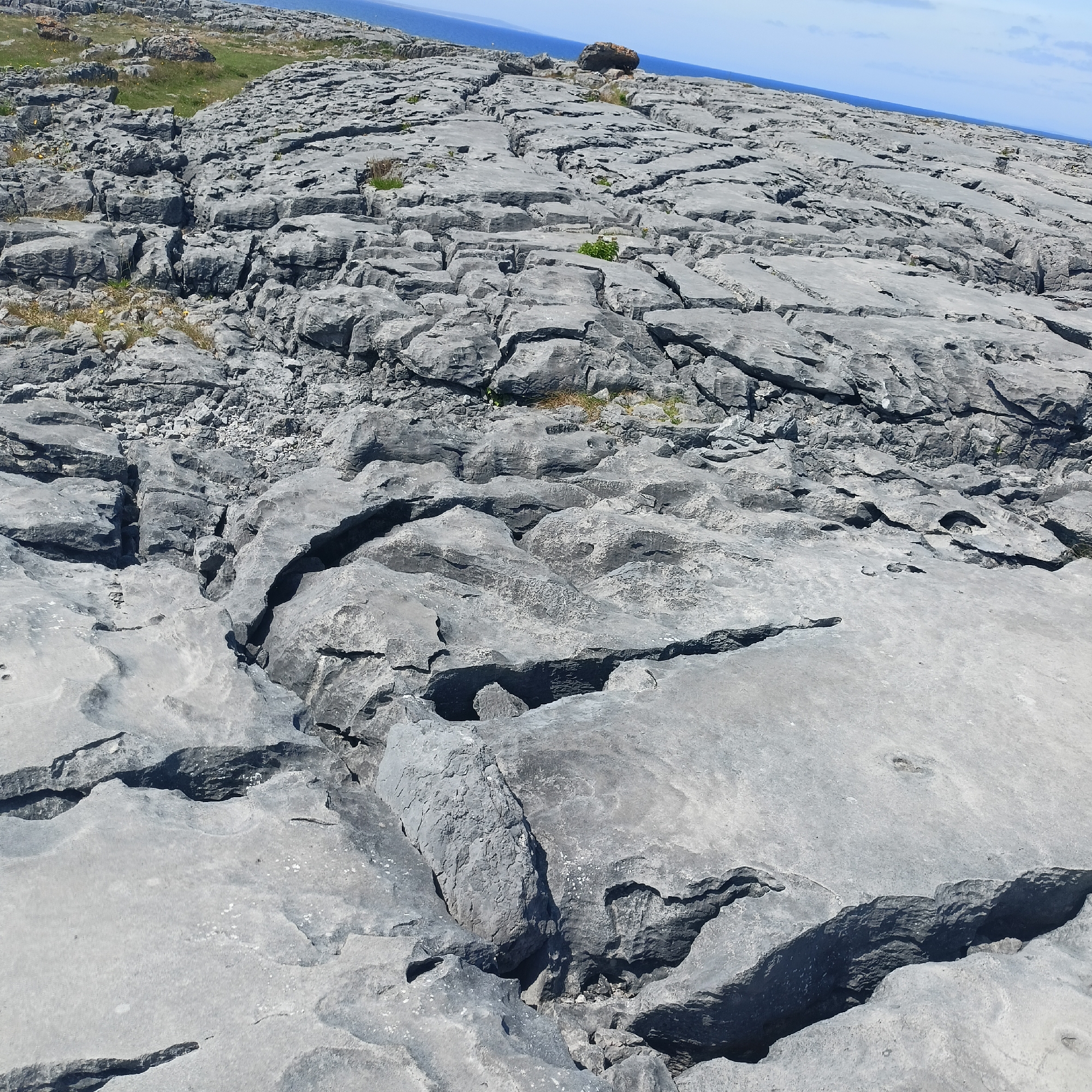 The image depicts a rocky, barren landscape with a vast expanse of gray limestone pavement in the foreground and middle ground. The pavement is characterized by numerous cracks, fissures, and weathered formations, suggesting a significant geological history. Sparse patches of dry grass and a few small green plants are scattered across the rocky terrain. In the background, a body of water, likely the ocean, meets a clear blue sky. The overall environment appears rugged and exposed, consistent with a coastal or elevated rocky area. The image does not contain any people or identifiable man-made structures. The location is identified as Seershin, Ireland, which is known for its limestone karst landscapes.