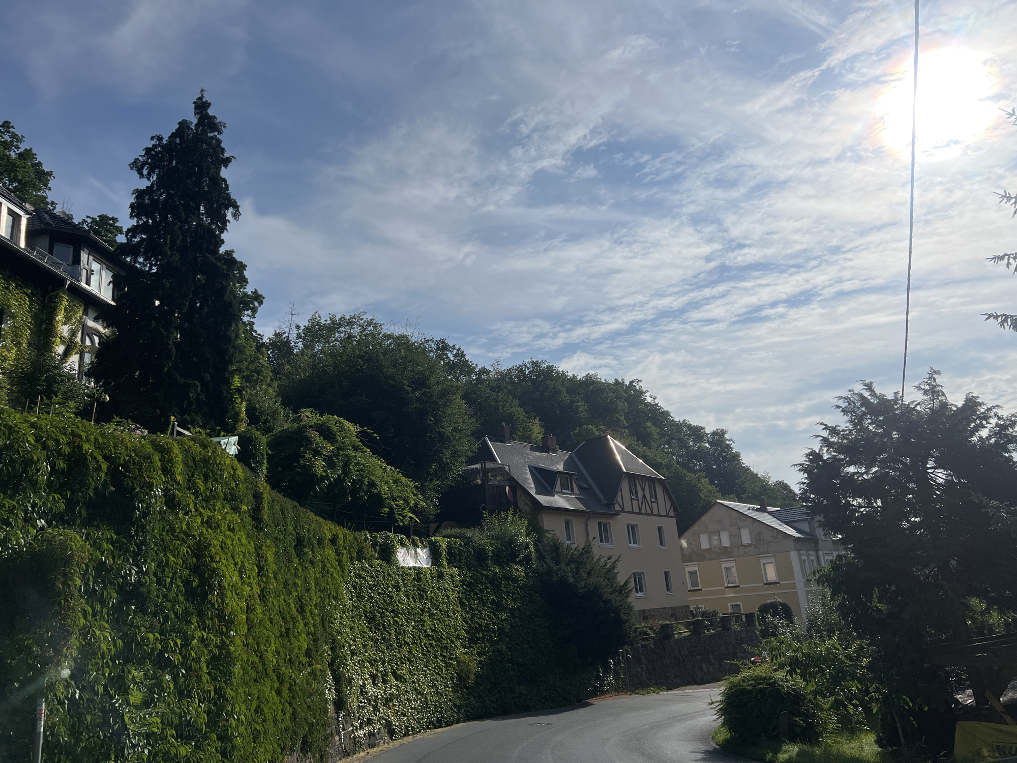 The image shows a view from a winding road in Freital, Germany. On the left, a steep embankment is covered in dense green ivy, leading up to a building partially obscured by foliage. A tall, dark green evergreen tree stands prominently against the sky. Further into the scene, several multi-story buildings are nestled on the hillside. One building, with a dark roof and mansard windows, features timber framing and cream-colored walls. Adjacent to it is a lighter yellow building with white shutters. Lush green trees and vegetation form a dense backdrop on the slopes. The sky is partly cloudy with cirrus clouds, and the sun is brightly shining in the upper right corner, creating a lens flare. The road itself is paved and curves out of view. There are no people or animals visible in the image.
