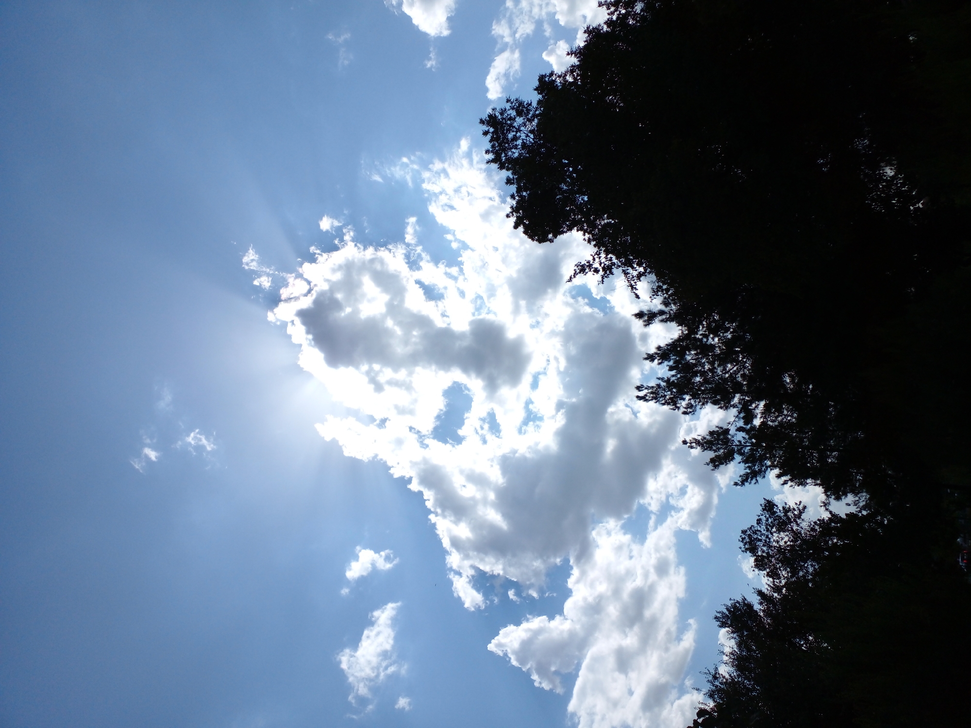 The image captures a silhouetted view of trees against a bright, cloudy sky. The sun is partially obscured by a large, white cloud, casting visible sunbeams that radiate outwards. Several smaller white clouds are scattered across the blue sky. The dark silhouettes of evergreen trees form a dense band across the bottom portion of the frame. The overall impression is of a bright, sunny day with dynamic cloud formations. This scene could be found in a park or a natural area within Tashkent, Uzbekistan, where the natural light and greenery are prominent features.