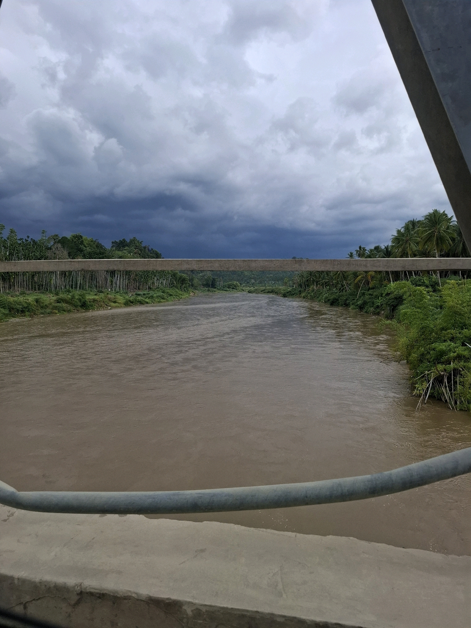 The image shows a wide, muddy river flowing through a lush, green landscape under a dramatic, cloudy sky. On the left bank of the river, dense vegetation and tall trees stretch into the distance. On the right bank, palm trees and other greenery are visible. A concrete structure, possibly a bridge or walkway, is in the foreground, with a metal railing running horizontally across the image. The sky is filled with dark, heavy clouds, suggesting an impending storm. The scene appears to be a natural landscape, likely located in a rural area with abundant vegetation. The location is specified as Teupinreudeup, Indonesia.