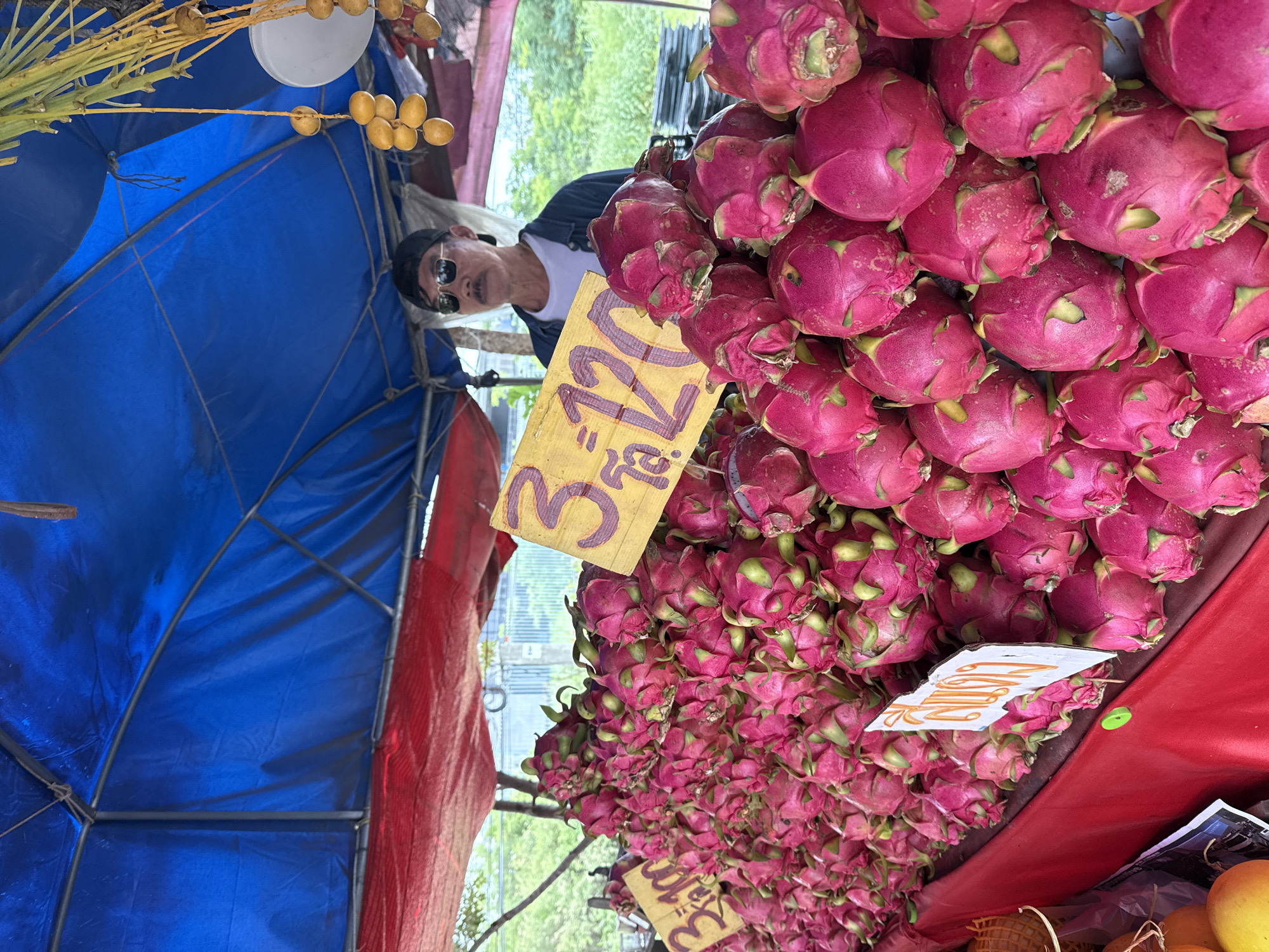 In Rai Mai, Thailand, a vendor stands behind a stall overflowing with bright pink dragon fruit. A blue tarp stretches overhead, providing shade, while a red cloth drapes the front of the stall. Two yellow signs with handwritten prices are propped up amongst the fruit, one displaying "3-100" and another with "3 120". The vendor, wearing a black baseball cap and sunglasses, gazes forward. The background reveals lush green foliage, suggesting an outdoor market setting. A bunch of yellow, date-like fruits hangs from the tarp, adding to the vibrant display. The dragon fruit are the primary focus, their unique texture and color filling the foreground.