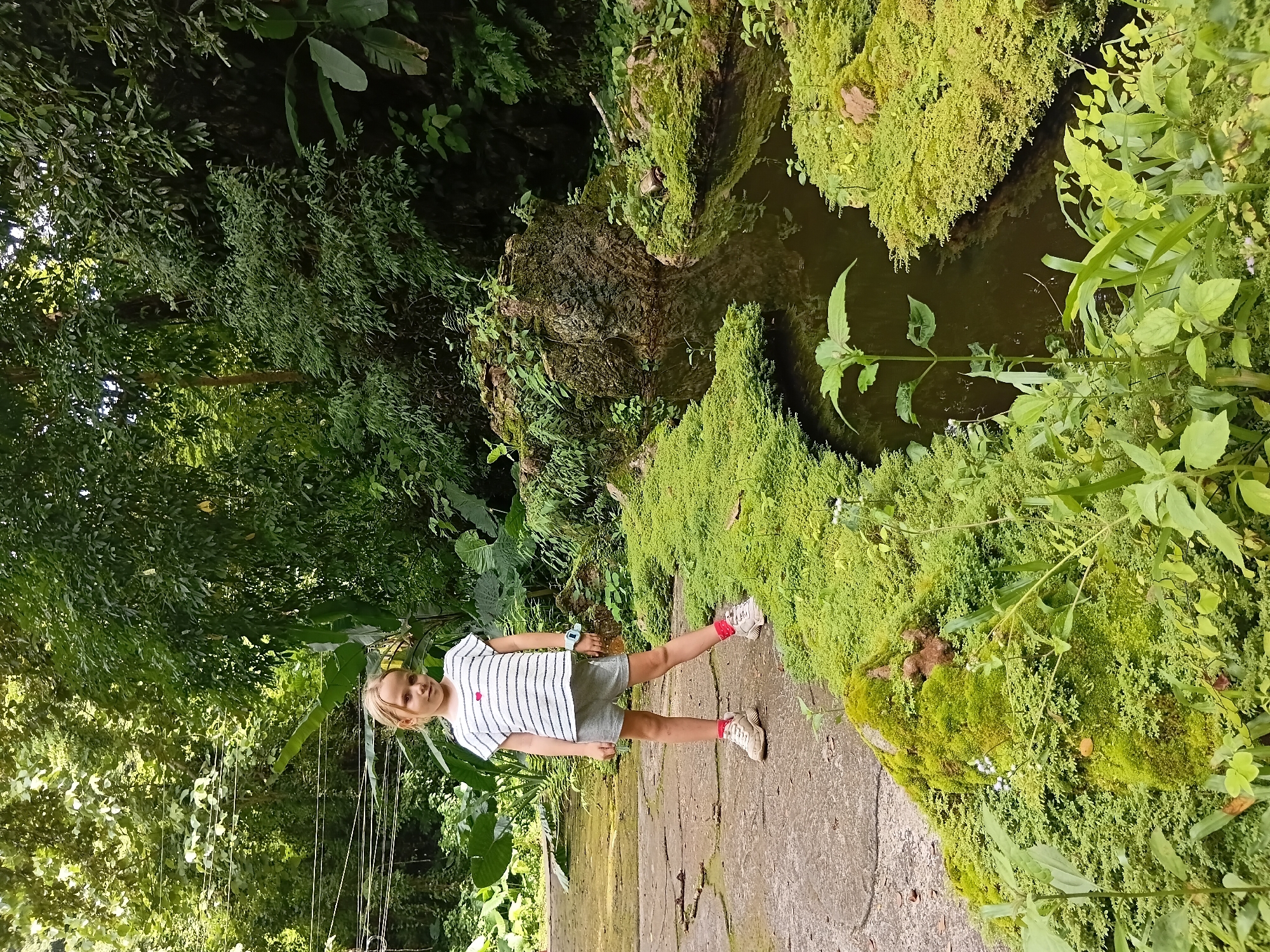 A young girl with blonde hair and light skin stands on a paved pathway in a lush, green, and humid environment. She is wearing a white t-shirt with horizontal blue stripes and a small red heart above one of the stripes, grey shorts, white sneakers, and pink socks. She is looking towards the camera with a neutral expression. The pathway is cracked and somewhat worn, with patches of moss and vegetation growing on and around it. To her right, a narrow, dark stream flows, bordered by thick, vibrant green moss and various plants. The surrounding area is densely vegetated with large leaves and trees, suggesting a tropical or subtropical climate. The scene appears to be in a park or botanical garden. The location is identified as Mae Sai District, Thailand.