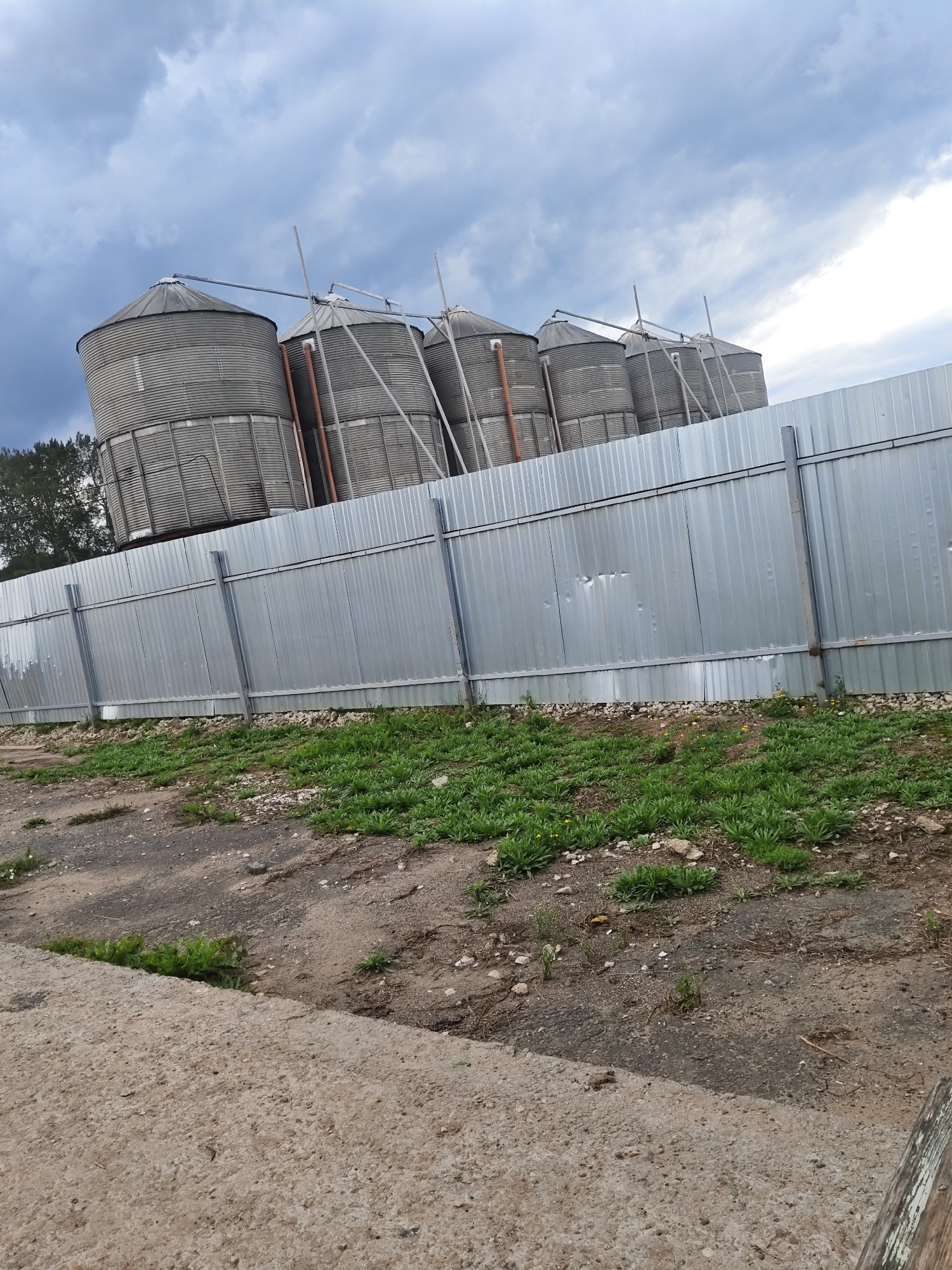 A slightly tilted, wide-angle shot shows a row of five large, cylindrical metal grain silos behind a tall, corrugated metal fence. The silos are silver and ribbed, with conical tops and support structures. The sky above is cloudy and gray. The fence runs horizontally across the middle of the image, with vertical support posts visible. The ground in front of the fence is covered with patchy green grass and some gravel. A concrete surface is visible in the lower left corner of the image. There are no people or animals visible in the scene.