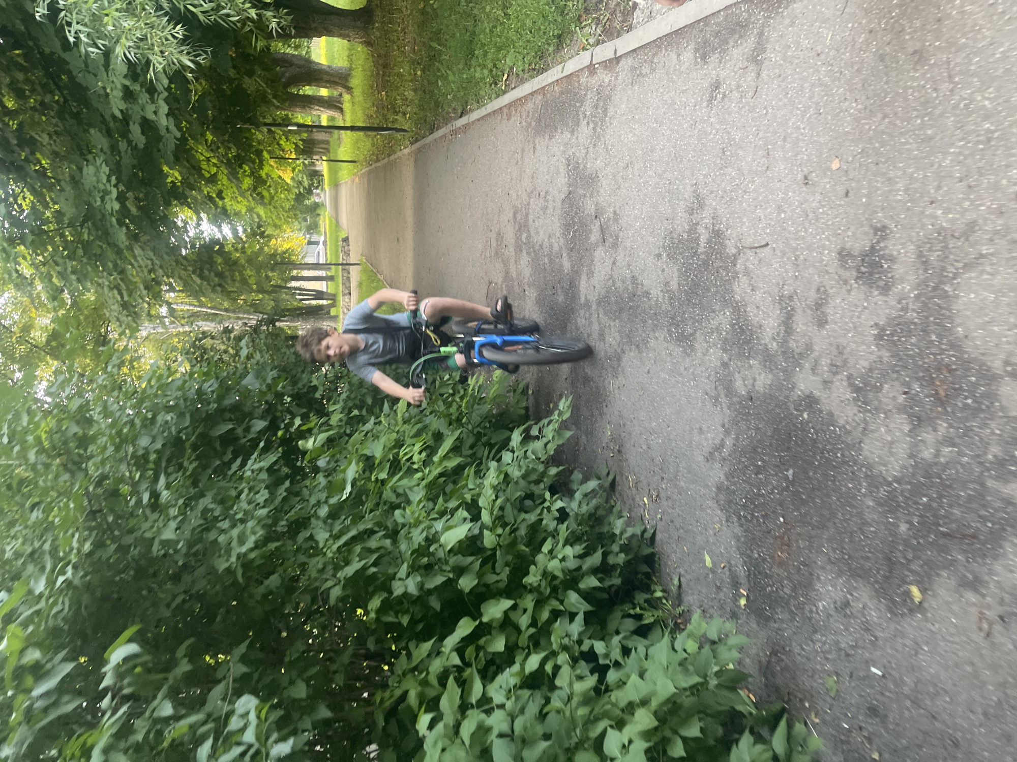 A young boy with brown hair is riding a blue bicycle down a paved path lined with trees and lush green bushes. The path is wet in places, suggesting it may have recently rained. The boy is wearing a gray t-shirt and dark shorts. He is in focus, while the background is slightly blurred, creating a sense of motion. The scene appears to be in a park or a tree-lined street in a city.