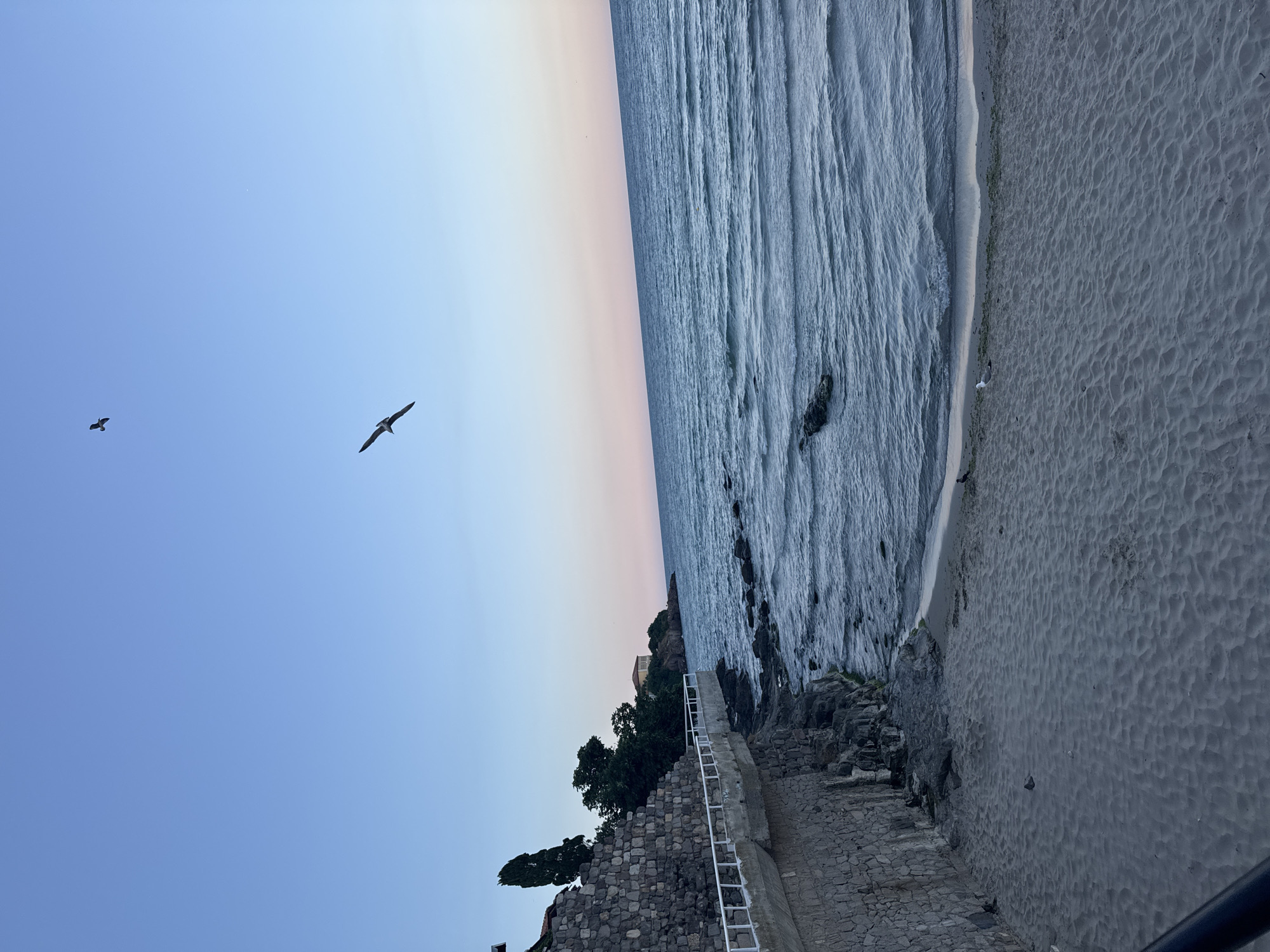 The image depicts a coastal view of Sozopol, Bulgaria, likely taken during the late afternoon or early evening. A sandy beach occupies the foreground, sloping towards the gentle waves of the Black Sea. To the left, a stone-built embankment with a white railing runs along the coastline, separating the beach from a rocky incline dotted with trees. Beyond the embankment, a building with a light-colored facade is visible on a higher elevation. The sky transitions from a clear blue overhead to a soft pink and orange hue near the horizon, suggesting a sunset. Two birds are captured in flight against the sky, one larger and closer to the foreground, and another smaller one further in the distance. A single seagull stands on the beach near the water's edge. The scene is tranquil and captures the natural beauty of the coastal landscape.