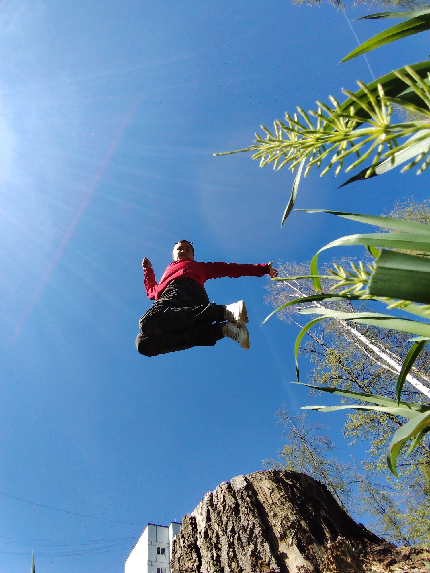 A low-angle, upward-pointing photo captures a person in mid-air against a bright blue sky. The person, dressed in a red shirt and dark pants, is suspended horizontally, arms outstretched. The sun is positioned in the upper left corner, casting a lens flare. The background features a tree stump in the foreground and plant life extending into the sky on the right. A white building is visible in the lower left corner. Given the available information, it's challenging to definitively confirm the precise location in Chaikovsky, Russia.