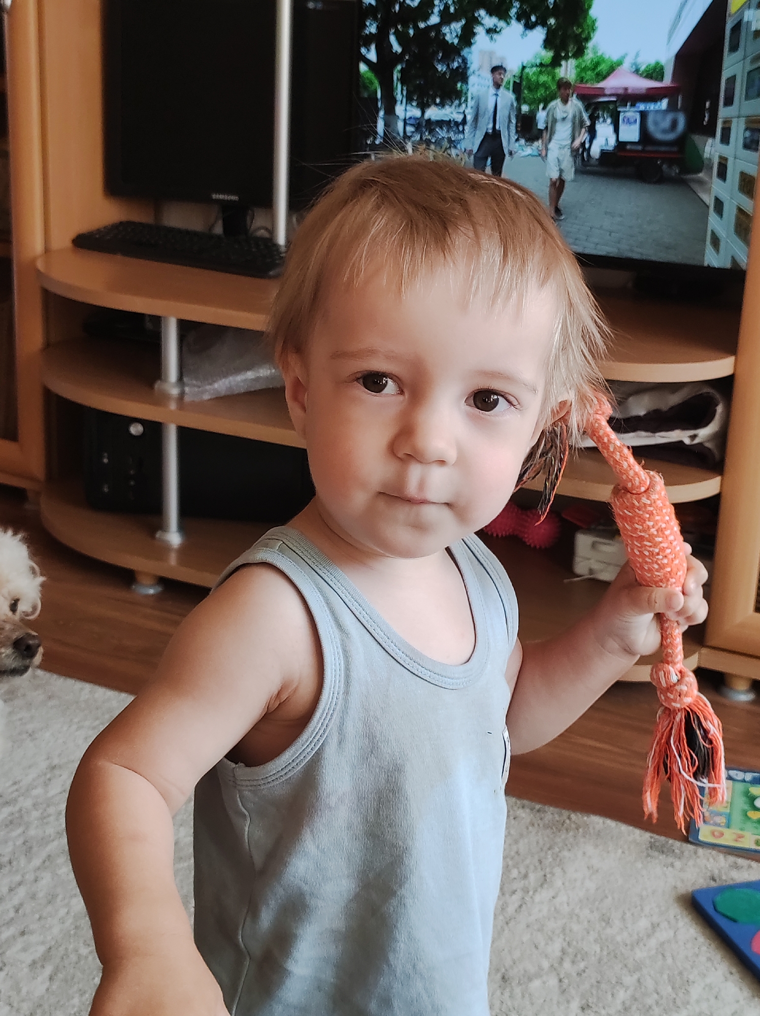 A toddler stands indoors holding an orange rope toy with frayed ends. The child has light brown hair and is wearing a gray tank top. Behind the child is a wooden entertainment center with a television on top. The television screen displays a scene of two men walking on a city street, one in a suit and the other in casual clothing, with a food cart visible in the background. A small white dog is partially visible in the lower left corner. A child's toy is on the floor to the right. The location is the city of Chaikovsky, Russia.