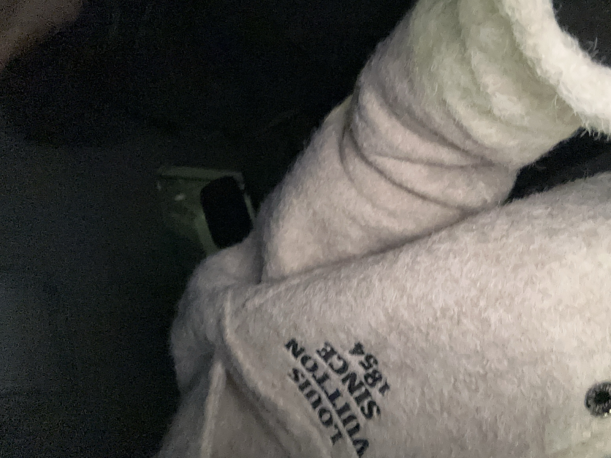 The image shows a close-up view of a light-colored, fuzzy fabric with dark blue lettering. The lettering reads "LOUIS VUITTON SINCE 1854" arranged in a stacked, diagonal format. The fabric appears to be part of a garment or accessory. The background is dark and out of focus, making it difficult to discern any environmental details. There is a hint of a green object in the upper right portion of the image, but it is too indistinct to identify. No specific location in Kazanlak, Bulgaria can be identified from this image.