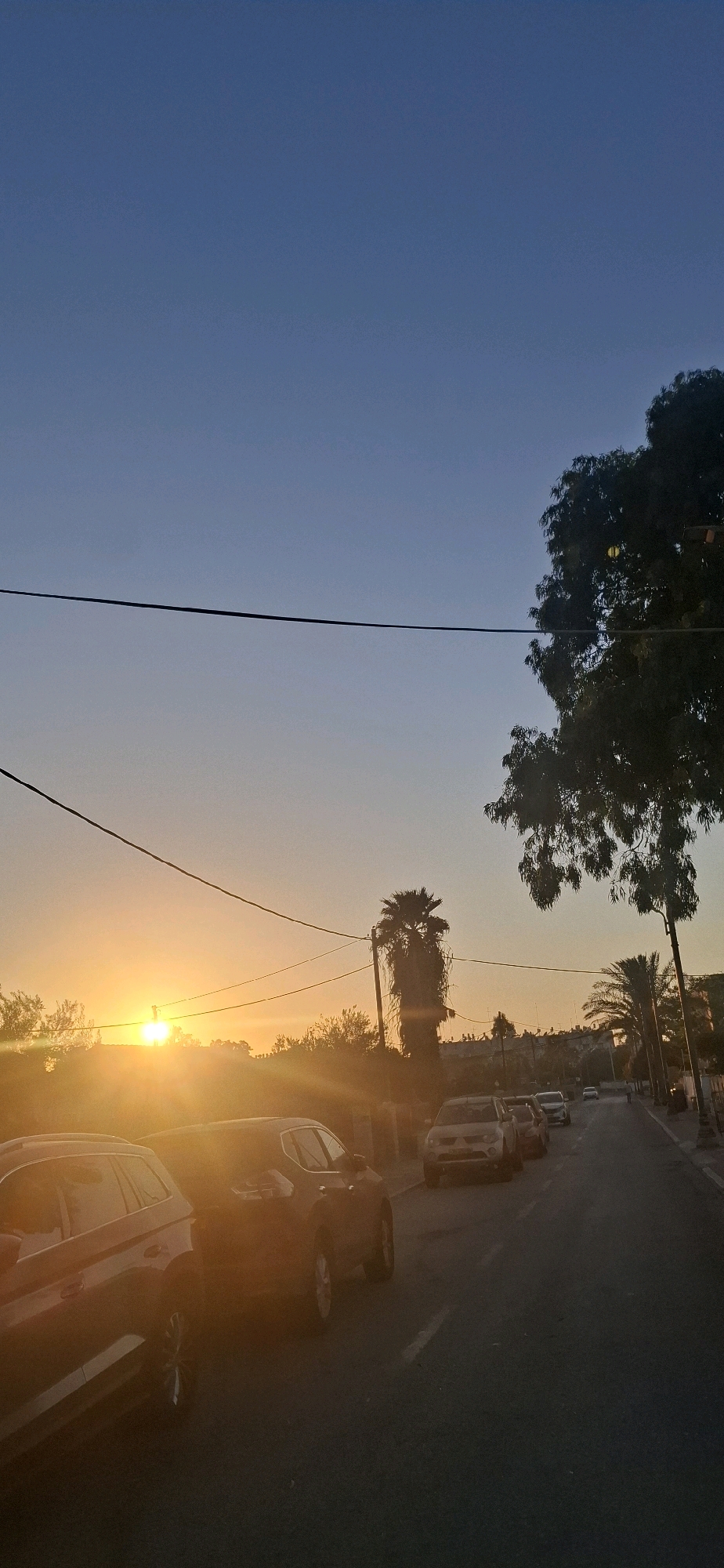 The image captures a street scene in Yerocham, Israel, during a sunset. The sky transitions from a deep blue at the top to a warm, golden orange near the horizon, indicating the sun is low in the sky. The sun itself is partially visible through trees and buildings on the left side of the frame, casting strong rays of light.
Several cars are parked along the right side of the paved road, facing away from the viewer. The cars are of various models and colors, with some illuminated by the setting sun and others in shadow. The road appears to be an urban or suburban street with trees lining the sides, including a prominent palm tree further down the road. Electrical wires are visible stretching across the sky. The overall impression is of a quiet evening on a street in Yerocham as daylight fades. There are no people visible in the image.