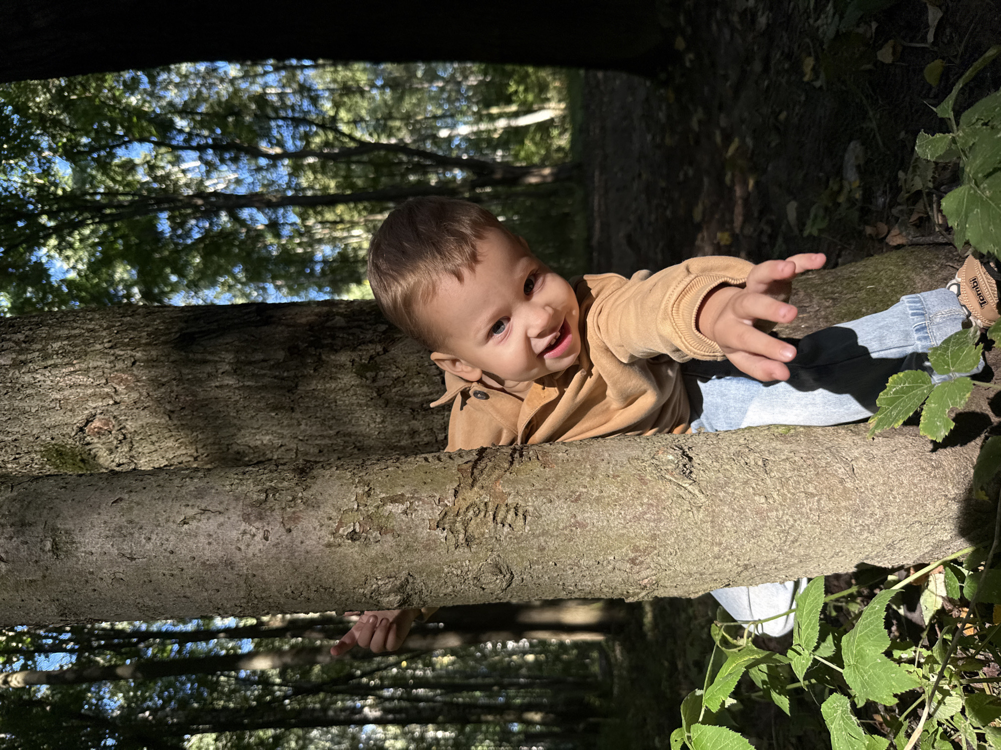 In Rusanovo, Russia, a young child peeks around a tree trunk in a sun-dappled forest. The child, wearing a light brown hooded sweatshirt and blue jeans, smiles at the camera, with one hand reaching out. Green foliage and fallen leaves are visible on the forest floor.