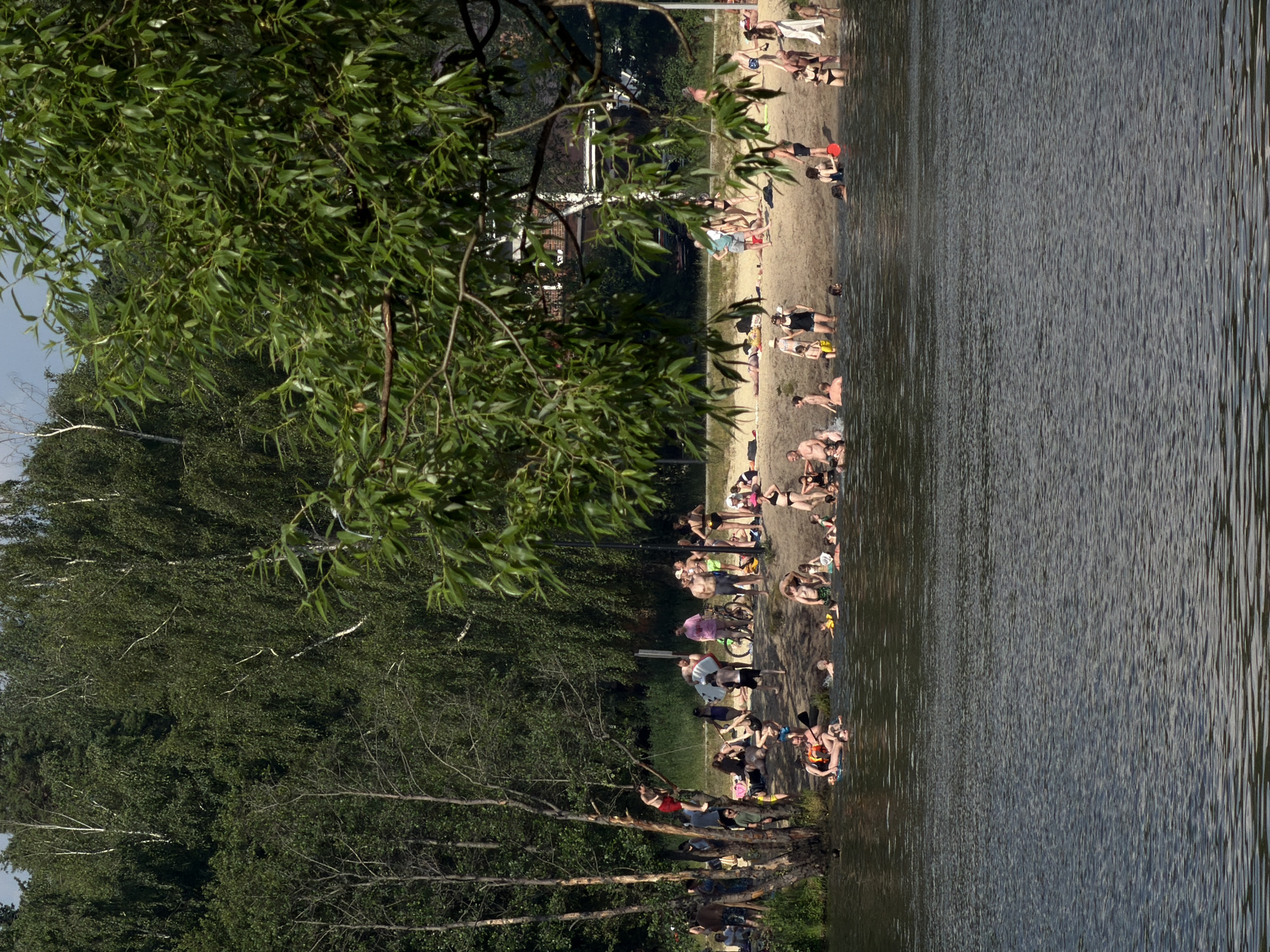 This is a vertical, medium-distance shot of a crowded beach and lake on a sunny day in Malakhovka, Russia. In the foreground, the dark, rippling water of a lake dominates the lower half of the image. The middle ground is a sandy beach populated with numerous people engaged in various leisure activities. Some are sunbathing, others are wading or swimming in the lake, and a group is gathered near a tree on the left, with one person appearing to swing from a branch.
The beach itself is lined with trees and vegetation, with a dense forest forming the background. The trees range from slender, bare trunks to lush green foliage, with birch trees clearly visible. Several people are dressed in swimwear, and a few are wearing life vests, indicating they are in the water. Objects visible include bicycles, beach towels, and a red frisbee. The overall atmosphere is one of a popular summer recreation spot.