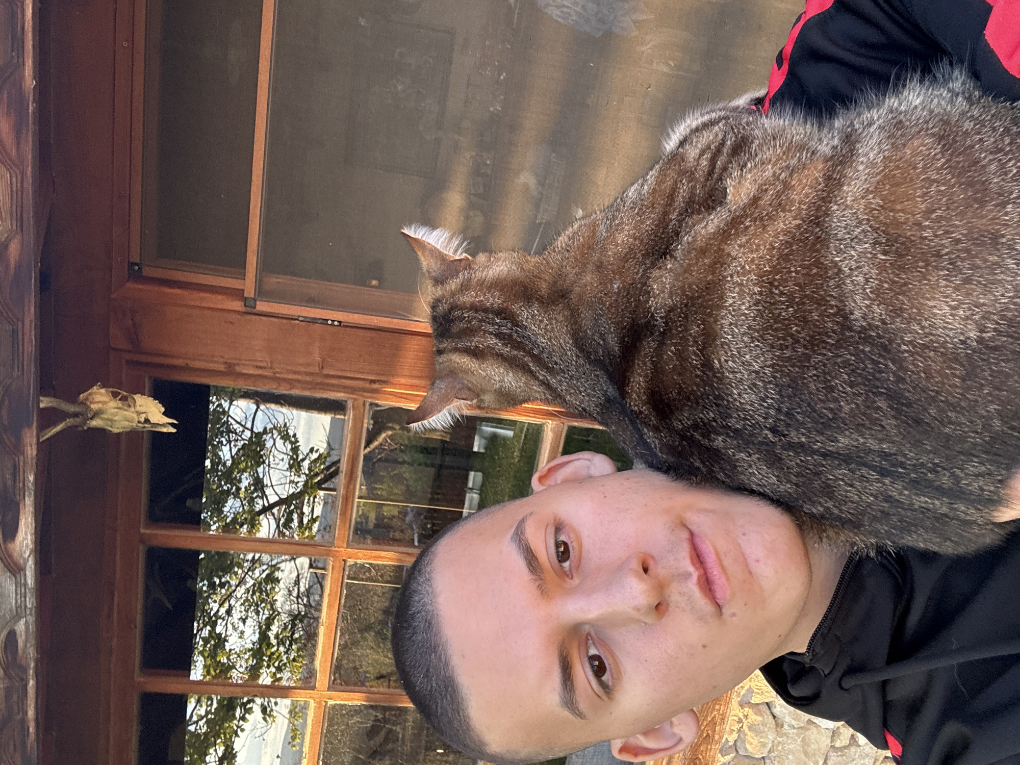 A close-up portrait captures a young man with a tabby cat resting comfortably on his head and right shoulder. The man, with short, buzzed dark hair, brown eyes, and a neutral expression, looks directly at the camera. He is wearing a black hooded sweatshirt with a splash of red visible on his right sleeve. The cat, seen from behind, exhibits a blend of brown and grey striped fur with lighter highlights, particularly visible on its fur and a prominent tuft of white fur on its visible right ear.
The setting appears to be indoors or on a sheltered porch, characterized by warm natural lighting. A multi-paned wooden-framed window stretches across the background, reflecting a bright outdoor scene with trees, some displaying green foliage and others appearing as bare branches against a light sky. On the far left, a section of a dark, intricately carved wooden structure, possibly a doorframe or decorative element, adds to the rustic aesthetic. A dried, light-colored plant stalk is also attached to this wooden structure.
The soft, warm light suggests either early morning or late afternoon, creating a serene atmosphere. The scene conveys a calm and affectionate interaction between the man and his pet within what appears to be a traditional or rustic home in Goritsa, Bulgaria. There is no visible text in the image.