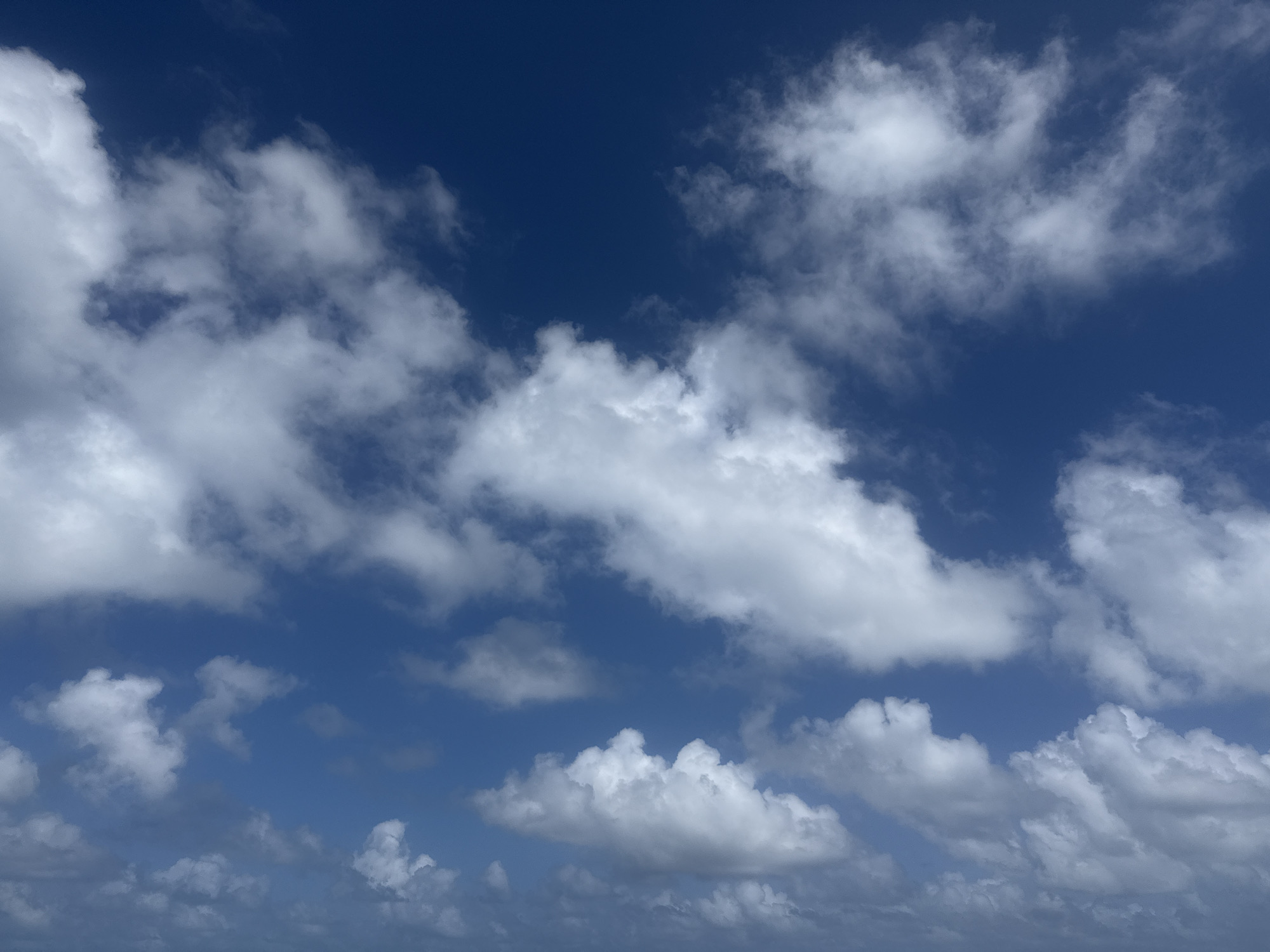 The image shows a sky with numerous white clouds scattered across a blue backdrop. The clouds are varying in size and shape, with some appearing puffy and others more elongated. The blue of the sky ranges in shade, with darker areas suggesting greater atmospheric depth. The image captures a scene typical of a daytime sky observation. The location in the city of Hollywood, United States of America cannot be verified from this image.