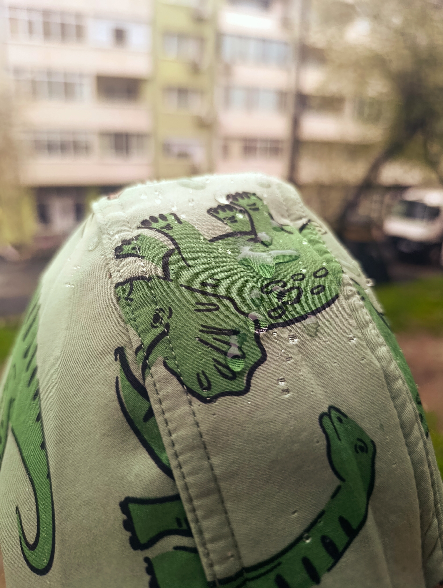 The image shows a close-up view of a light green hat with a dinosaur pattern, covered in raindrops. The hat appears to be made of fabric with visible stitching. The dinosaurs are depicted in a cartoonish style with green bodies and black outlines. In the background, there is a blurred residential building with multiple windows, suggesting an urban setting. The presence of trees and a vehicle partially visible in the background further indicates an outdoor location, likely a street or park in an urban area. While the exact location within Kardzhali, Bulgaria cannot be determined from the image alone, the style of the building suggests it is within a residential neighborhood of the city.