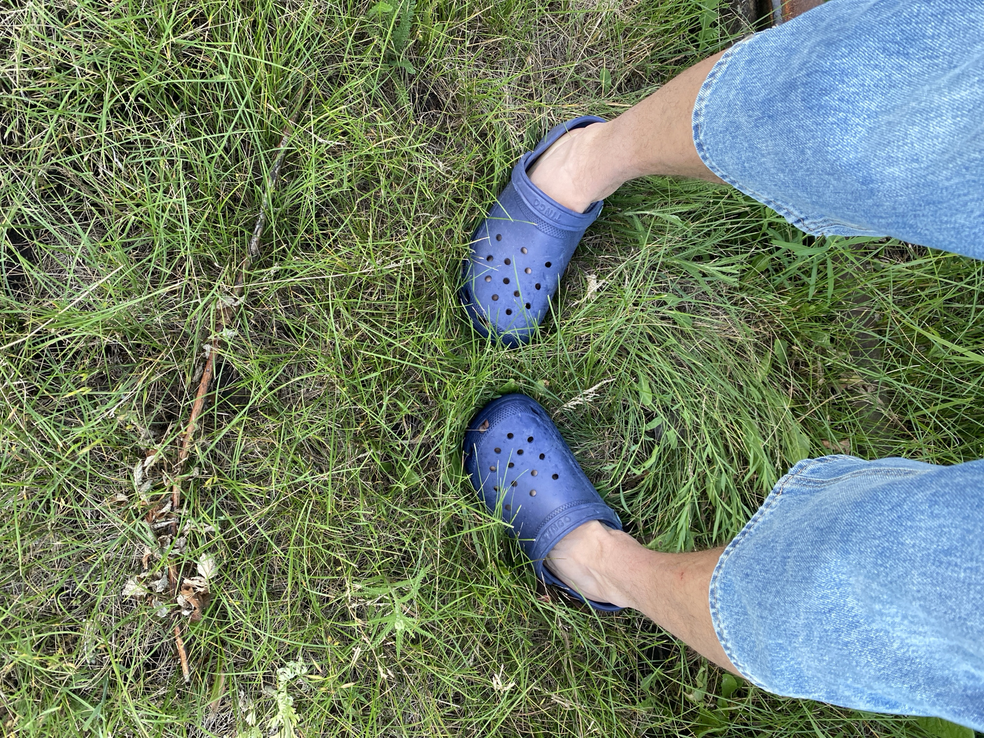 A first-person perspective shot from a standing position shows a person wearing blue denim shorts and dark blue Crocs, standing on a patch of green grass with some dry twigs and leaves scattered on the ground. The location is identified as Oktyabr'skii, Russia.