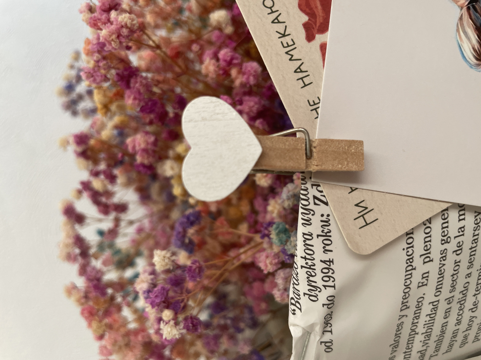 A close-up shot features a white, heart-shaped wooden clip holding together several pieces of paper. The clip is positioned centrally in the frame. In the background, a vibrant and blurred arrangement of dried flowers, possibly baby's breath, displays a spectrum of colors including pink, purple, white, yellow, and blue, creating a soft, diffuse backdrop.
The papers held by the clip reveal visible text in multiple languages. One strip of paper has Russian text that reads, "ЧЕ НАМЕКАЮ" (CHE NAMEKAYU), translating to "What am I hinting at?". Another piece of paper shows what appears to be Polish text: "Baraz dyrektora uyaaw od 1 do 1994 roku: Za," suggesting a fragment about a director and specific years. A third, larger piece of paper contains Spanish text, with discernible words such as "valores y preocupacion," "contemporaneo," "viabilidad," "nuevas gener," and "Tambien en el sector de la mo," indicating a discussion on values, concerns, contemporary issues, and new generations within a sector. A small, triangular piece of paper also bears handwritten Russian characters: "Ниу" (Niu).
The arrangement suggests a personal or decorative display, possibly a collage of memories or notes. The presence of Russian text is consistent with the provided location context of Baranovka, Russia.