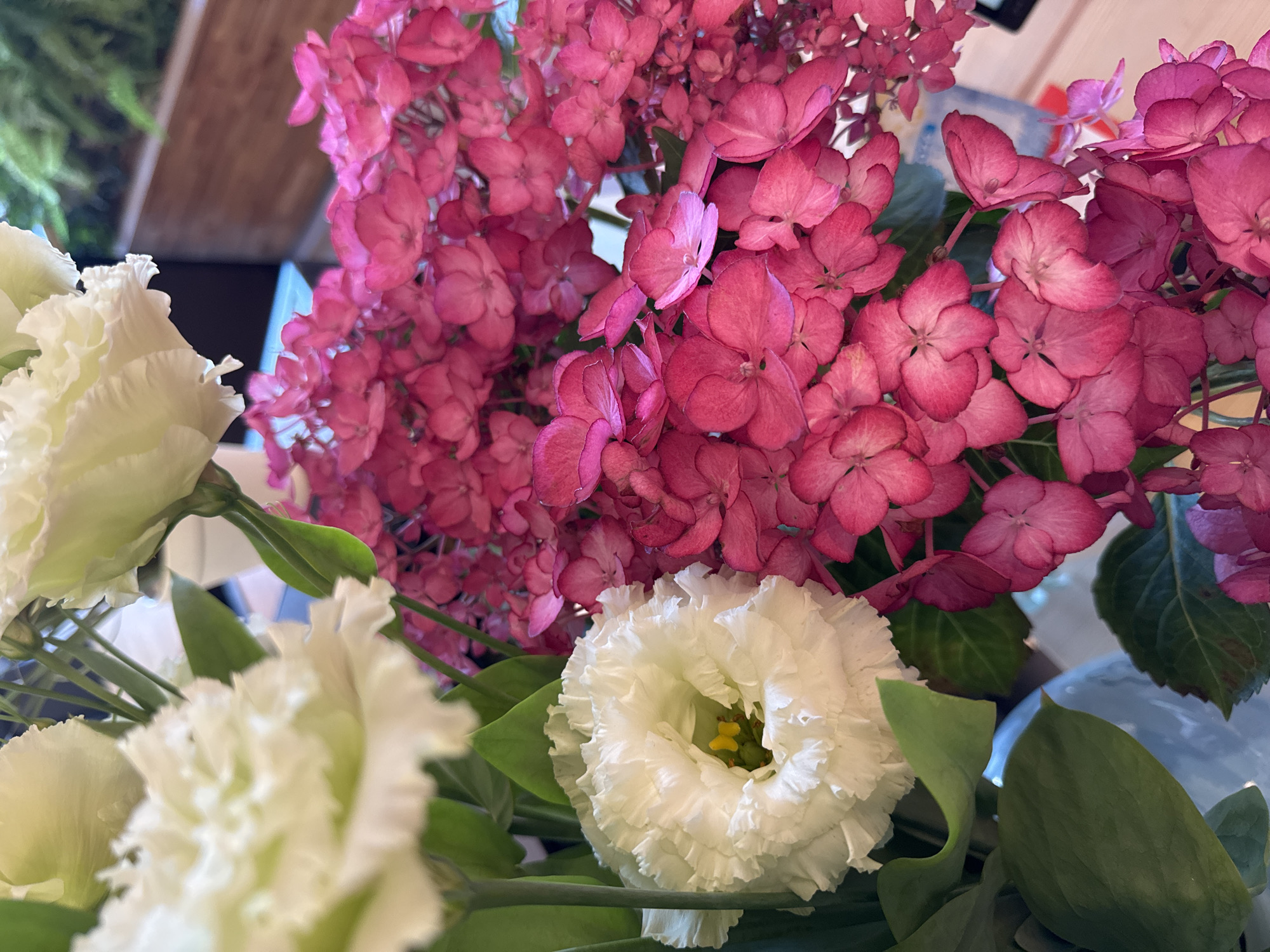 A close-up, eye-level, vertical shot captures a vibrant floral arrangement. Dominating the foreground are clusters of bright pink hydrangeas, their delicate petals tightly packed together. Interspersed with the hydrangeas are two white lisianthus flowers, one prominently featured on the left with its ruffled petals opening to reveal a yellow center, and another in the upper left corner, partially visible. Green leaves provide a backdrop and contrast to the colorful blooms. The background is softly blurred, suggesting an indoor setting with hints of wooden textures and possibly other floral elements. There is no indication of the city of Kremenchuk, Ukraine, or any people in the image.